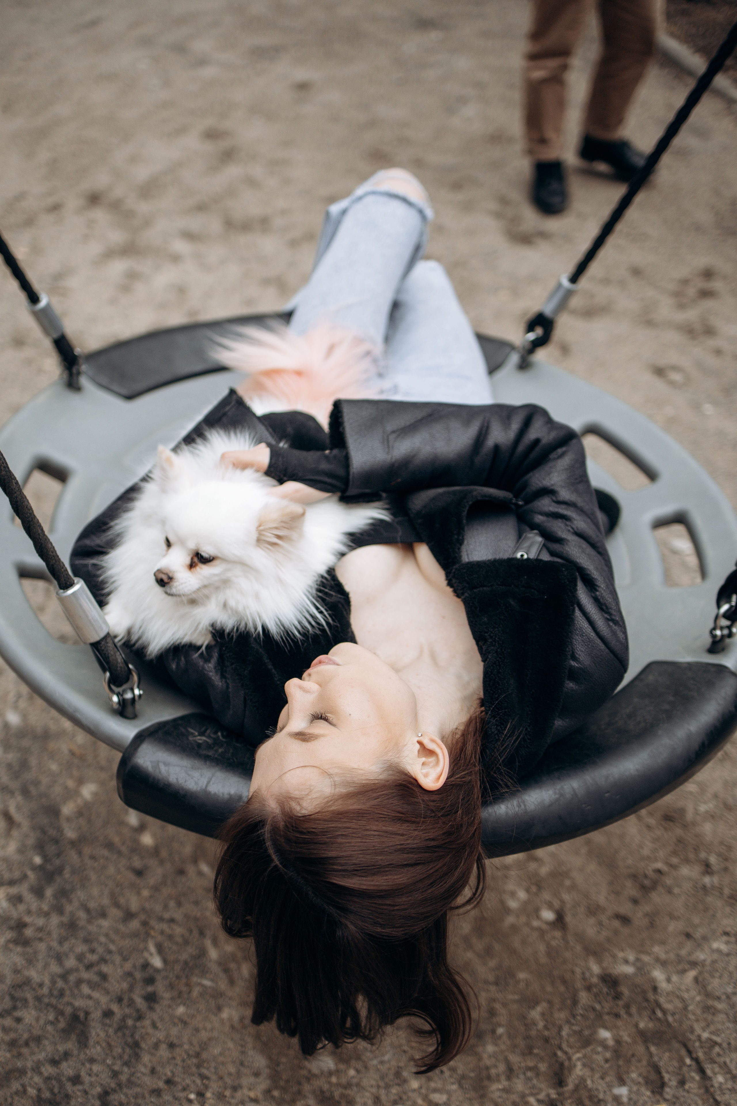 Шпиц Мася и ее семья