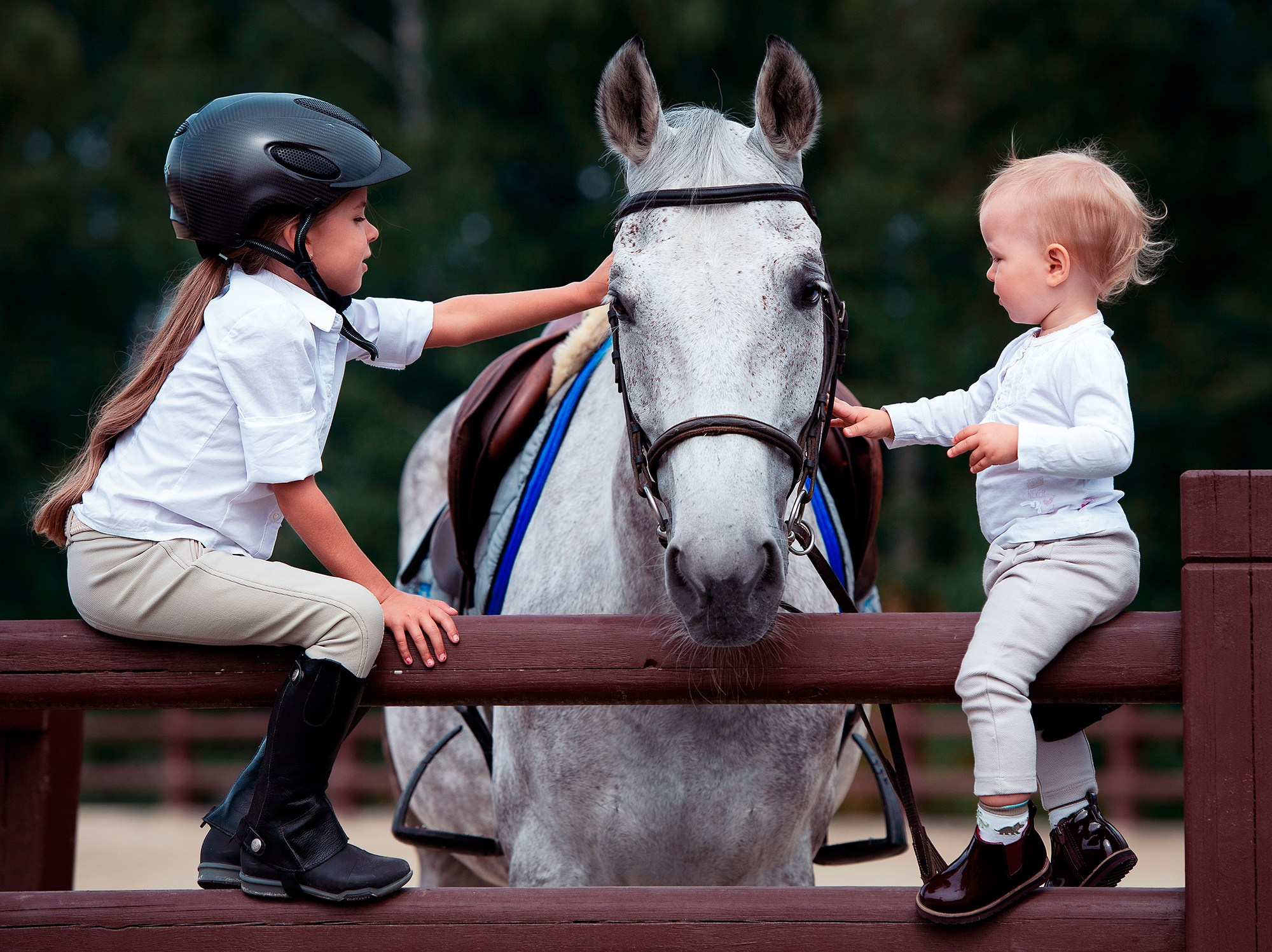 Частные съемки_фото. Конный фотограф Alesya Safe