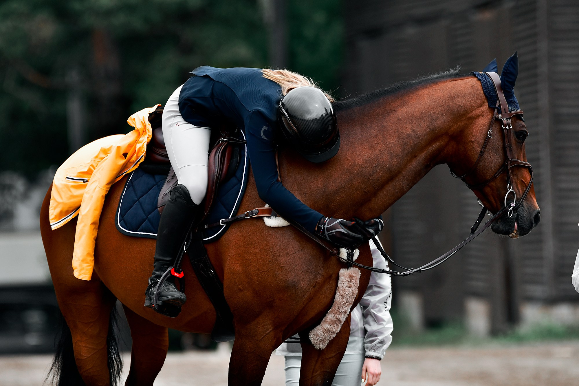 Конкур. Конный фотограф Alesya Safe