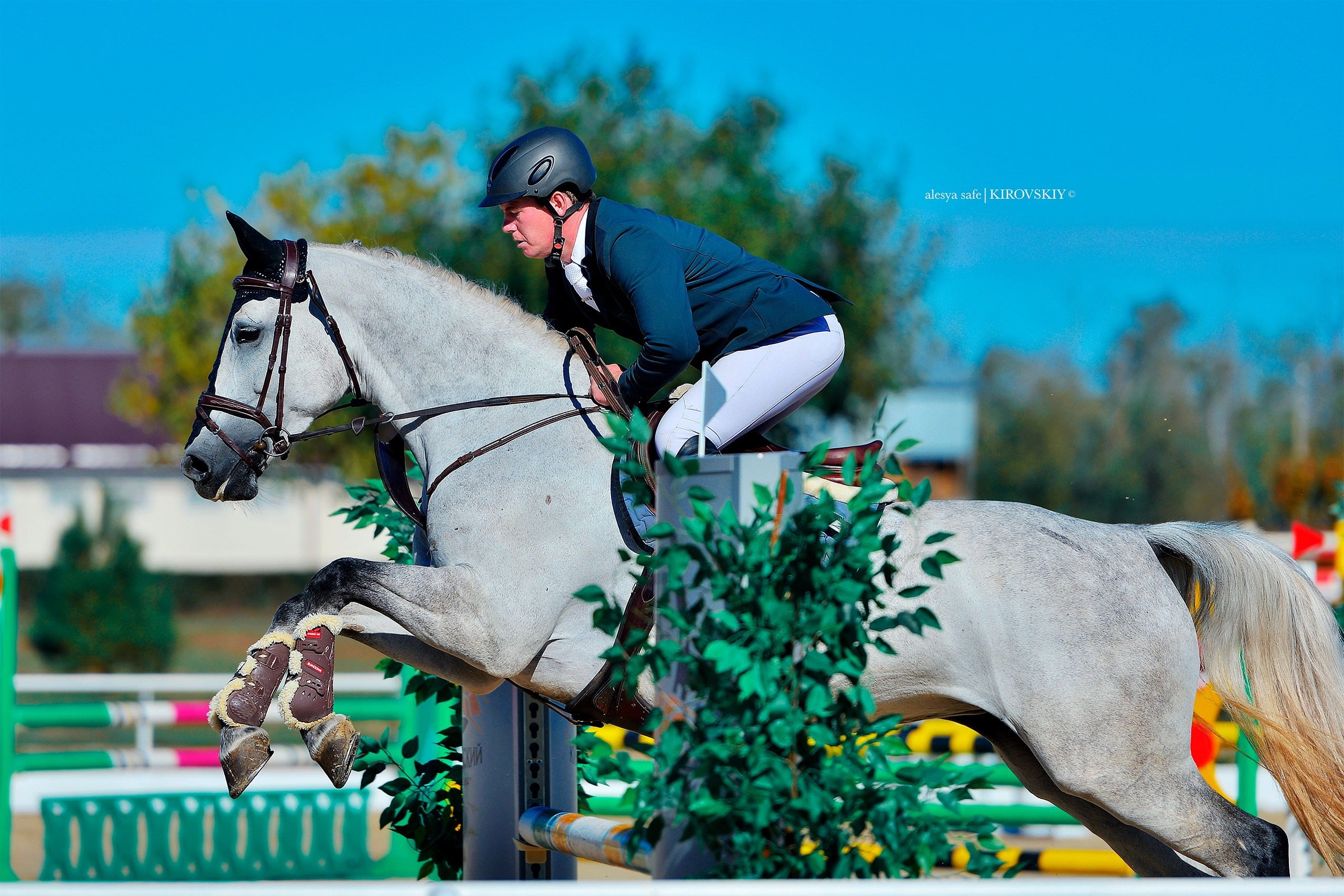 Кировский конный завод. Конный фотограф Alesya Safe