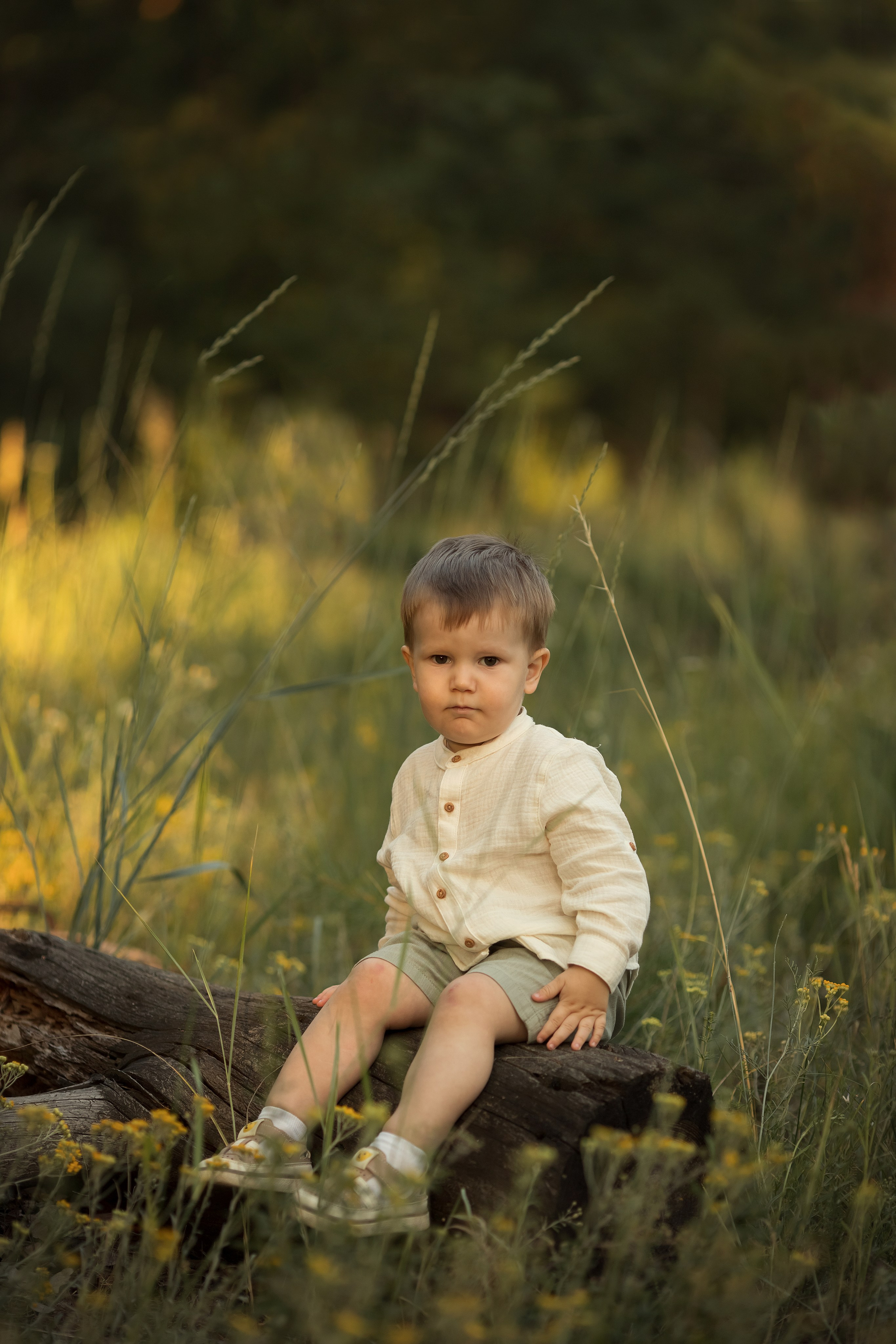 Солнечный лес. Семейный и детский фотограф в Саратове Полина Коткина
