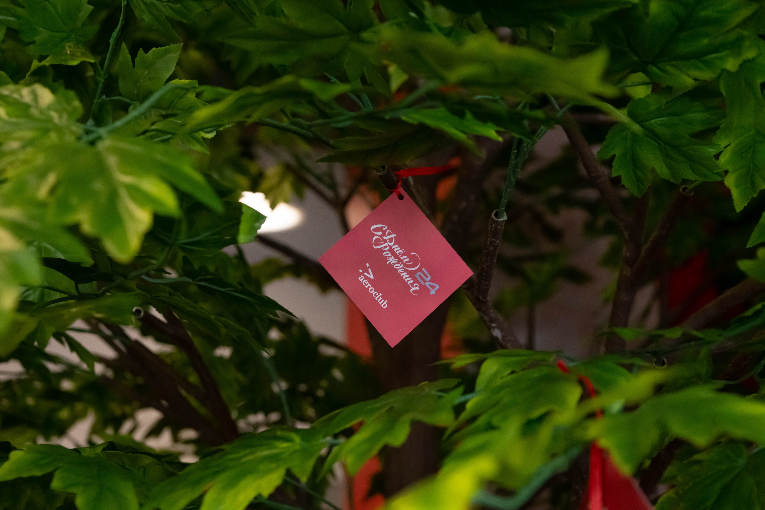 Репортажи до 2024 (микс). Фотограф в Москве Базанова Дарья