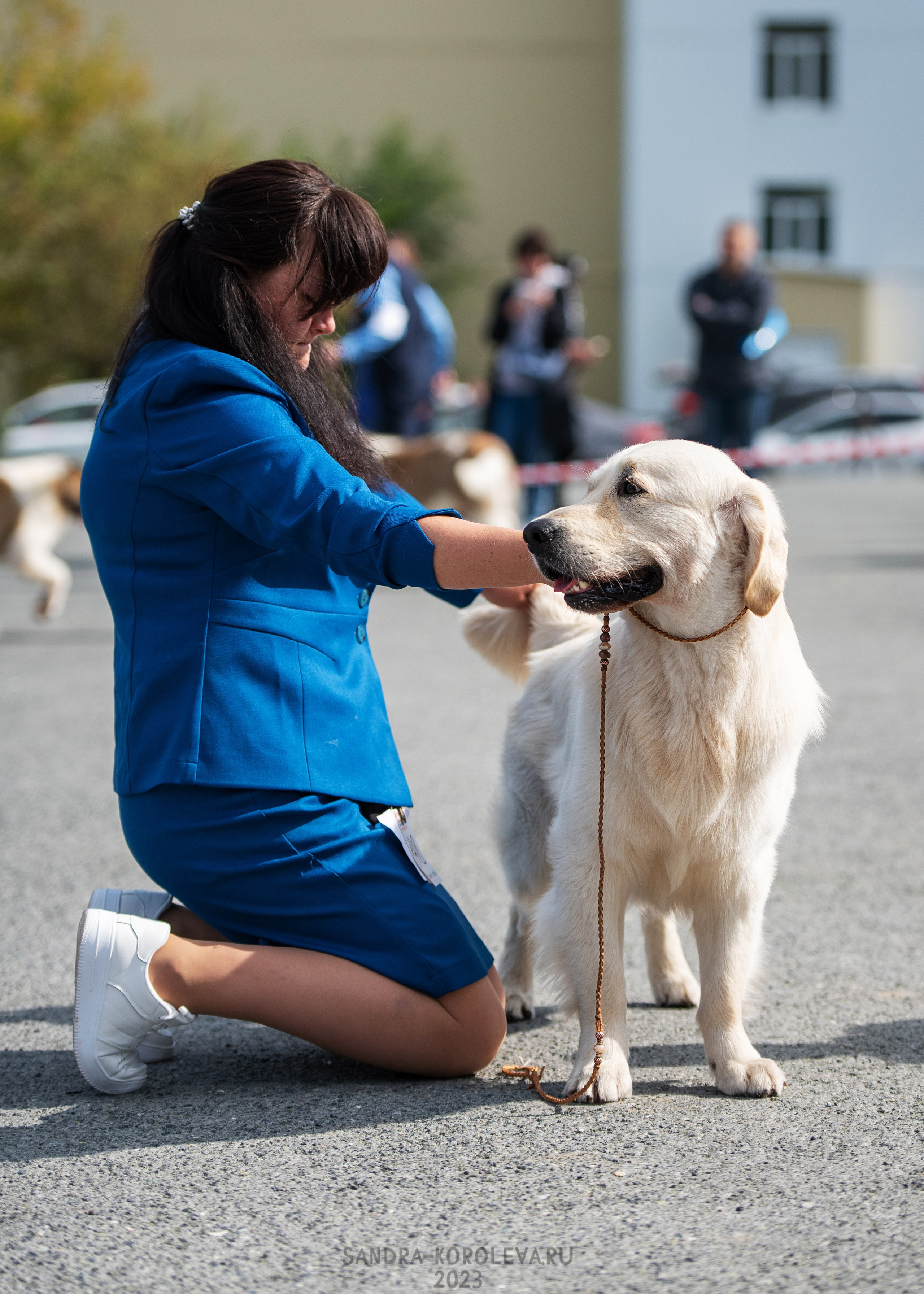 Выставка собак Тюмень 02.09.2023. Дог-фотограф в Тюмени Александра Королева