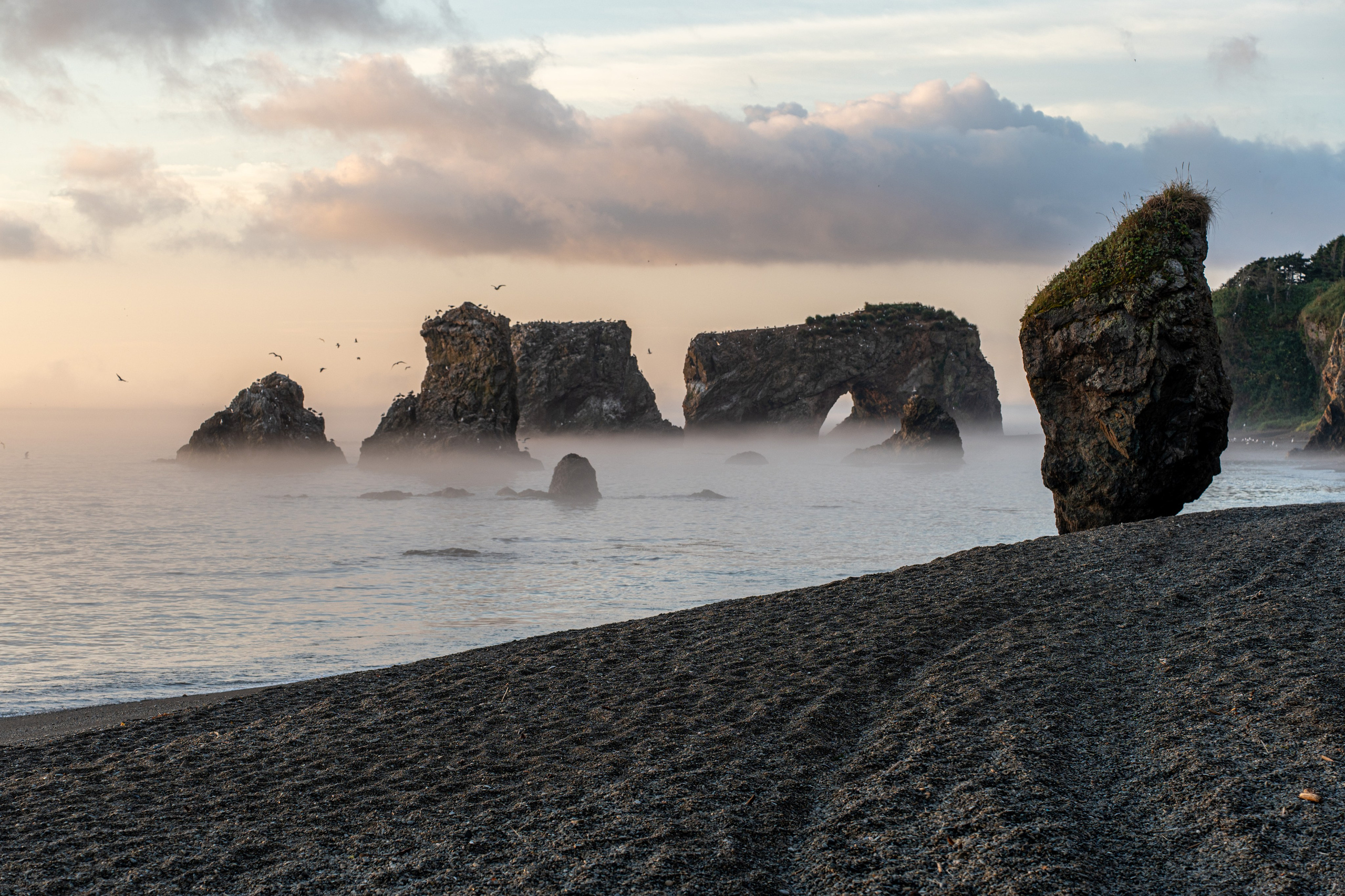 Сахалин 2025. Творческие сьемки