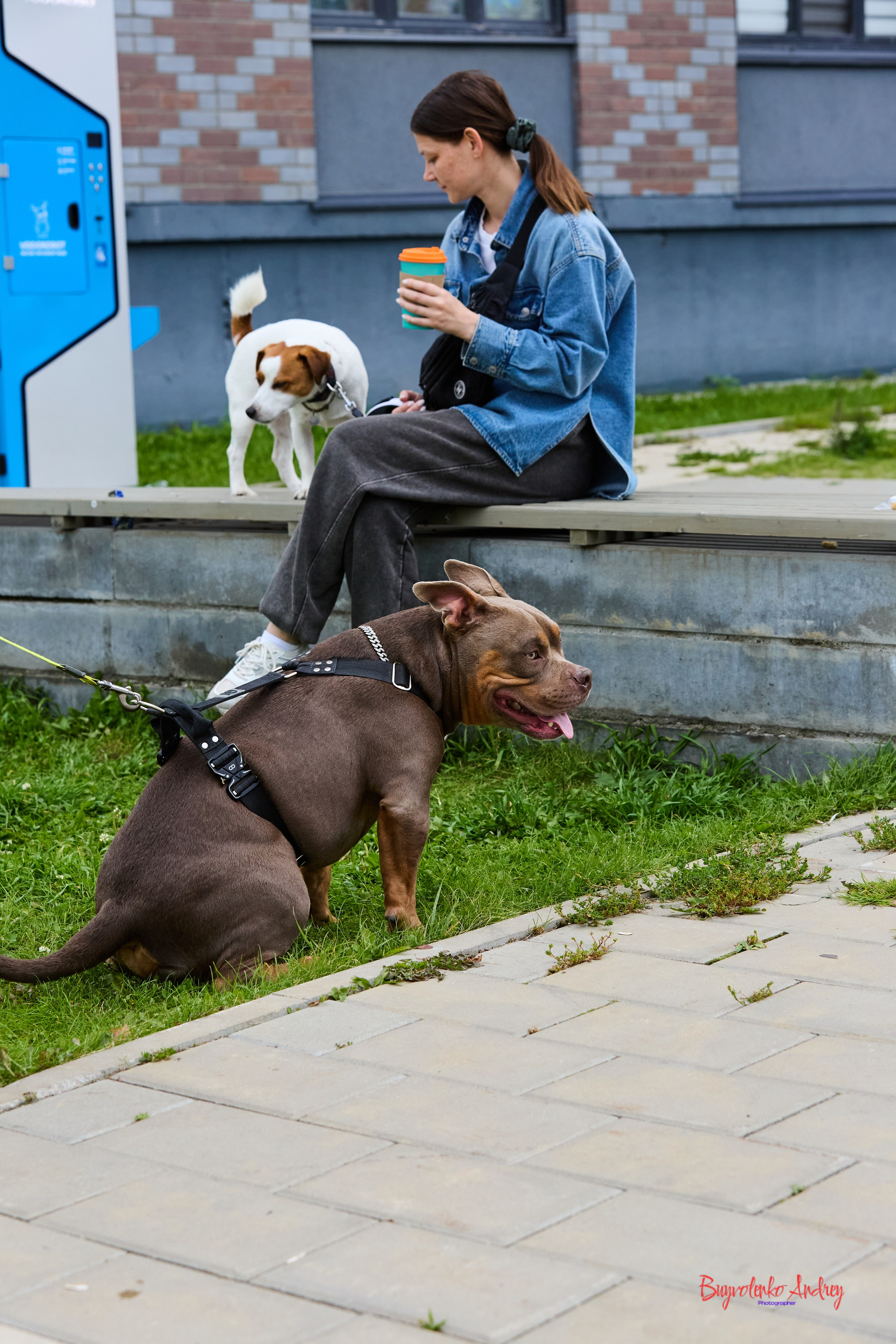 Проект фотопрогулка с хвостиком. Buyvolenko Andrey