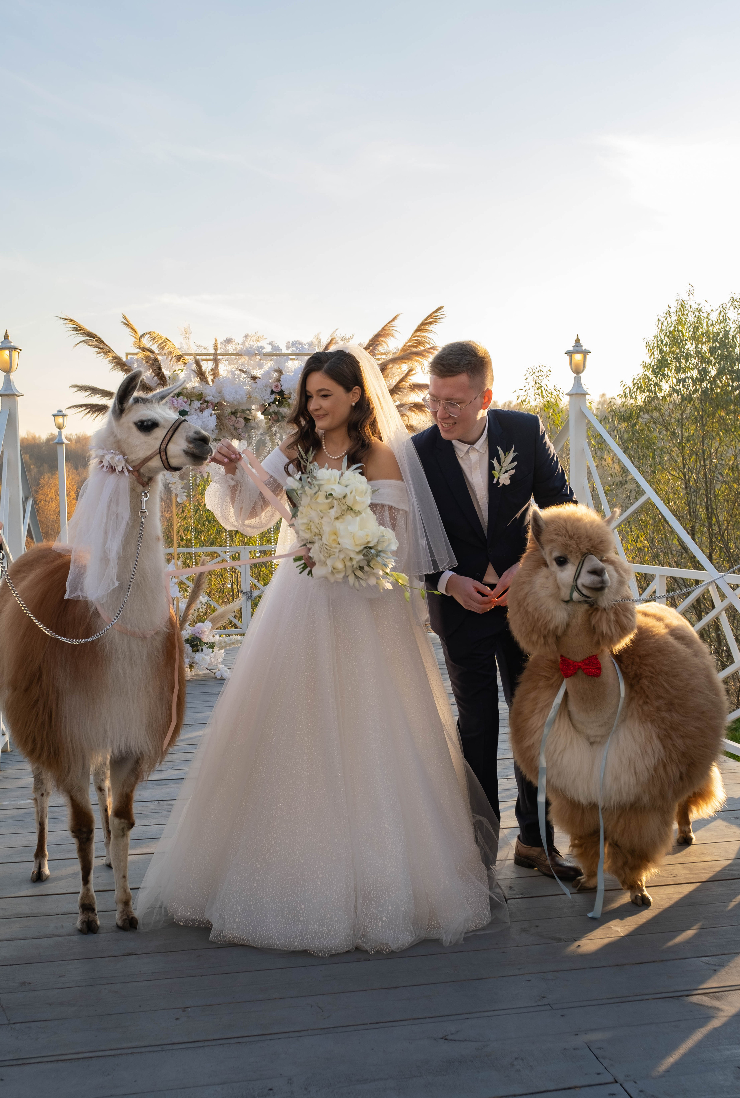Церемония. Фотограф Москва / Зеленоград — Наталья Петухова