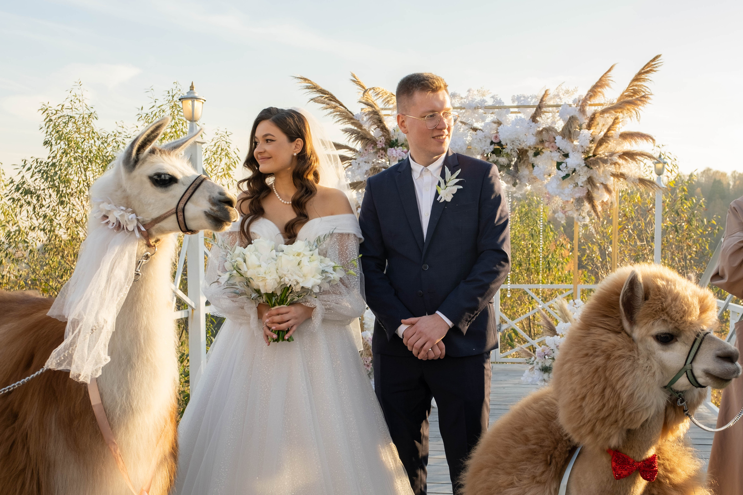 Церемония. Фотограф Москва / Зеленоград — Наталья Петухова