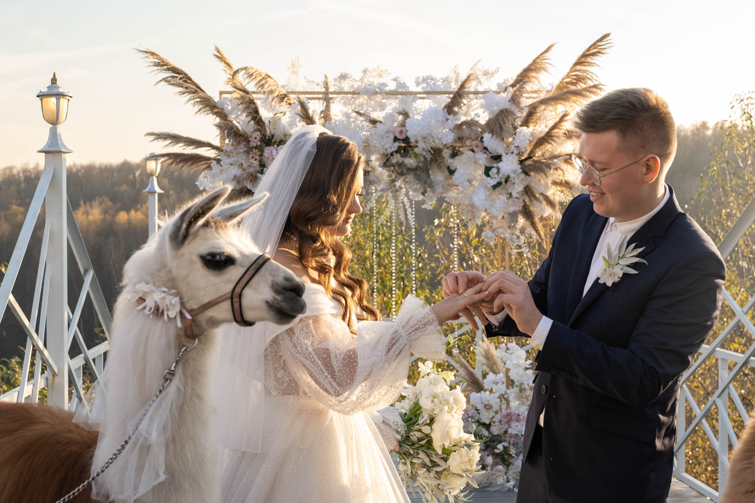 Церемония. Фотограф Москва / Зеленоград — Наталья Петухова