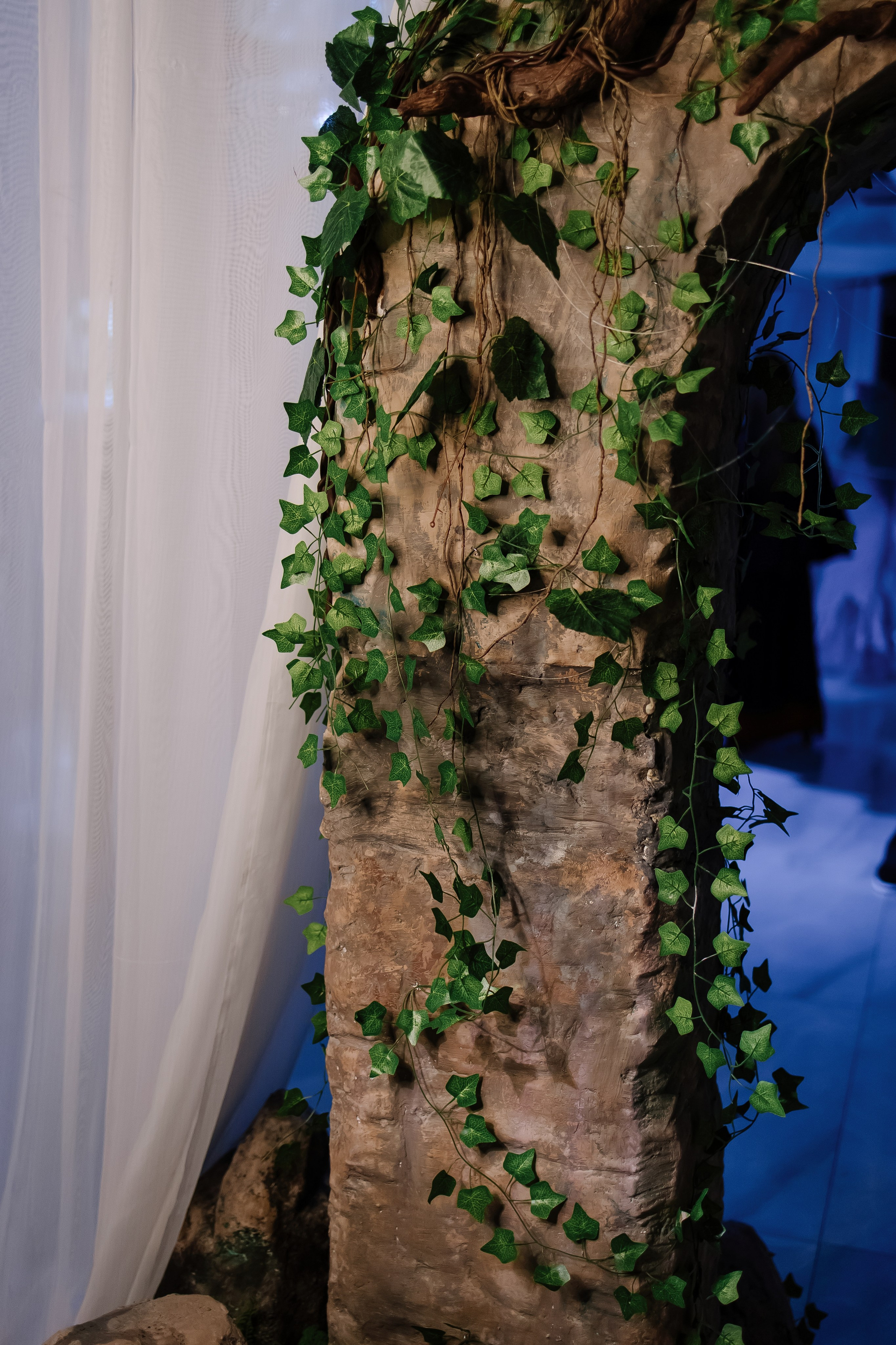 Шоу тортов 2. Свадебный фотограф