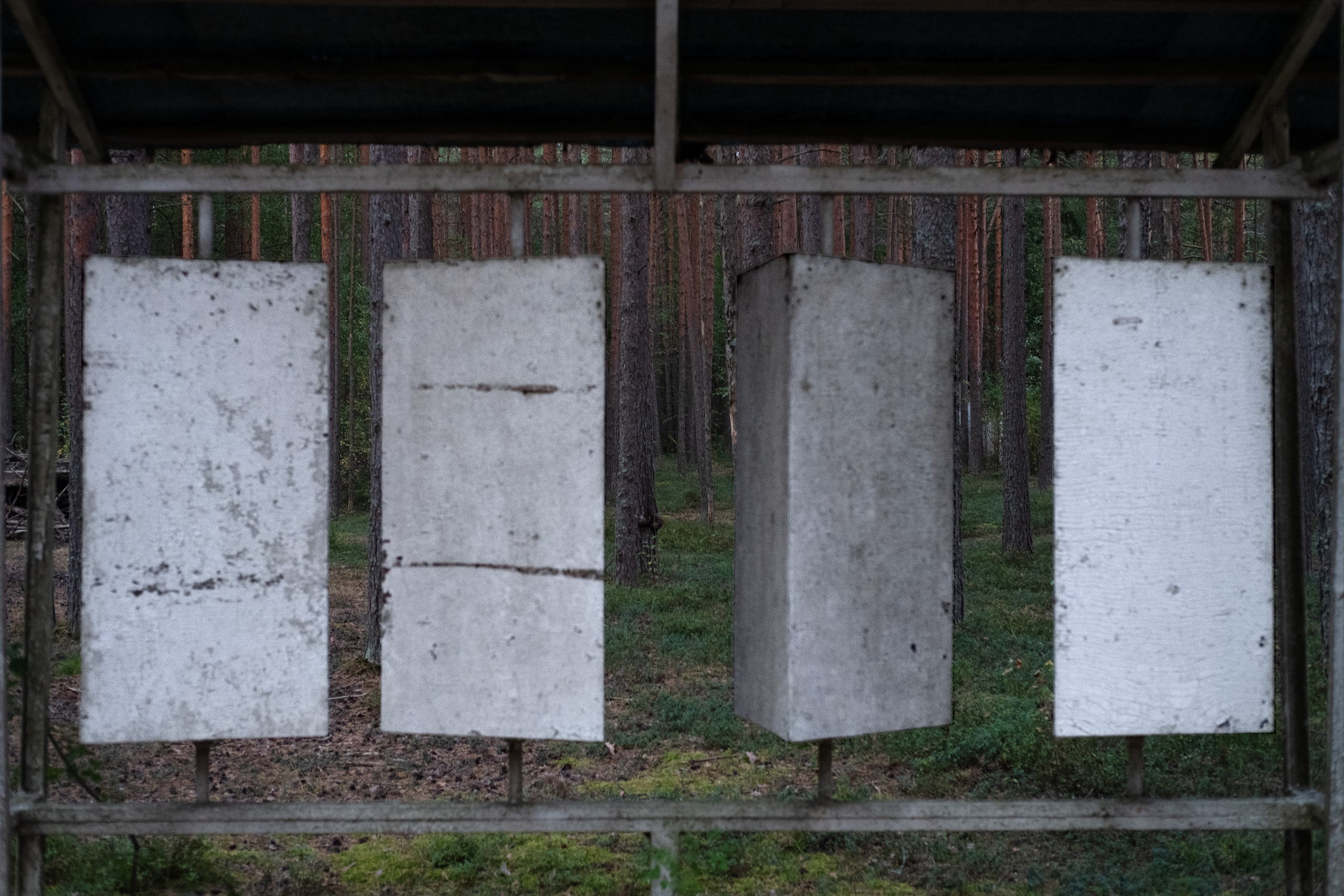 Пионерлагеря. Курочкина Софья