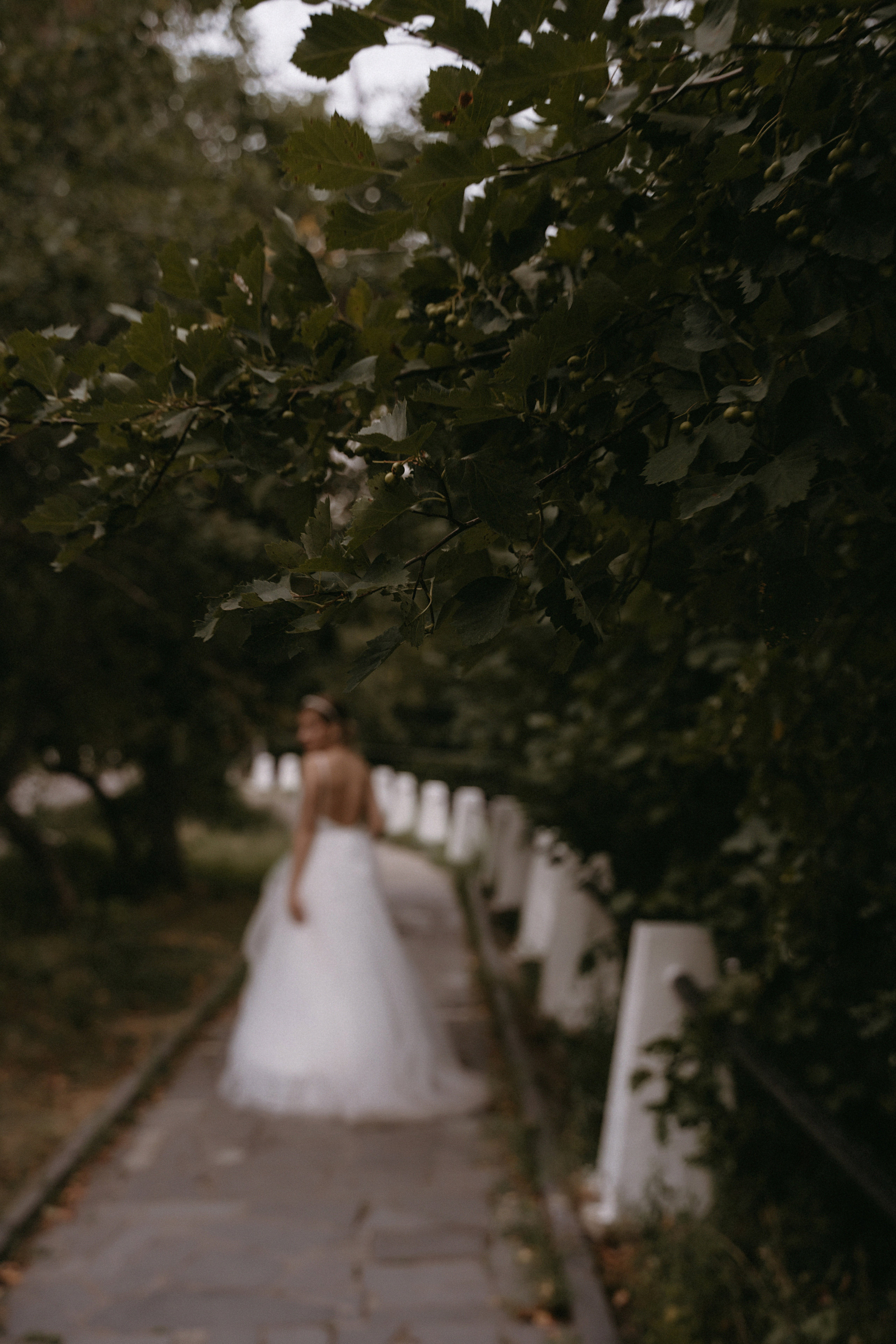 21 июля 2021. Фотограф Наталья Шелест