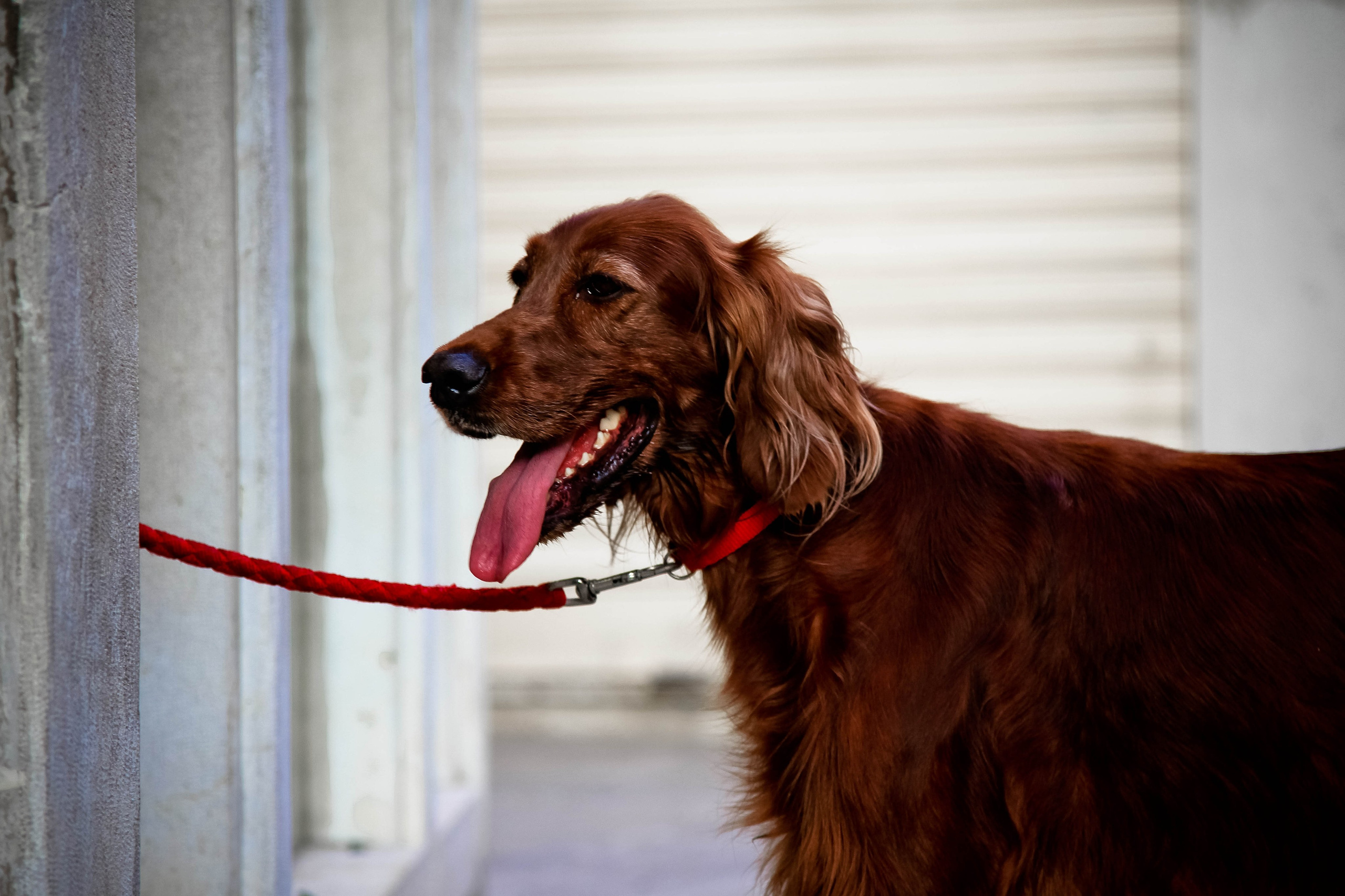 ИТАЛИЯ. Стрит-фотография, полная абсурда, идиотизма и красоты