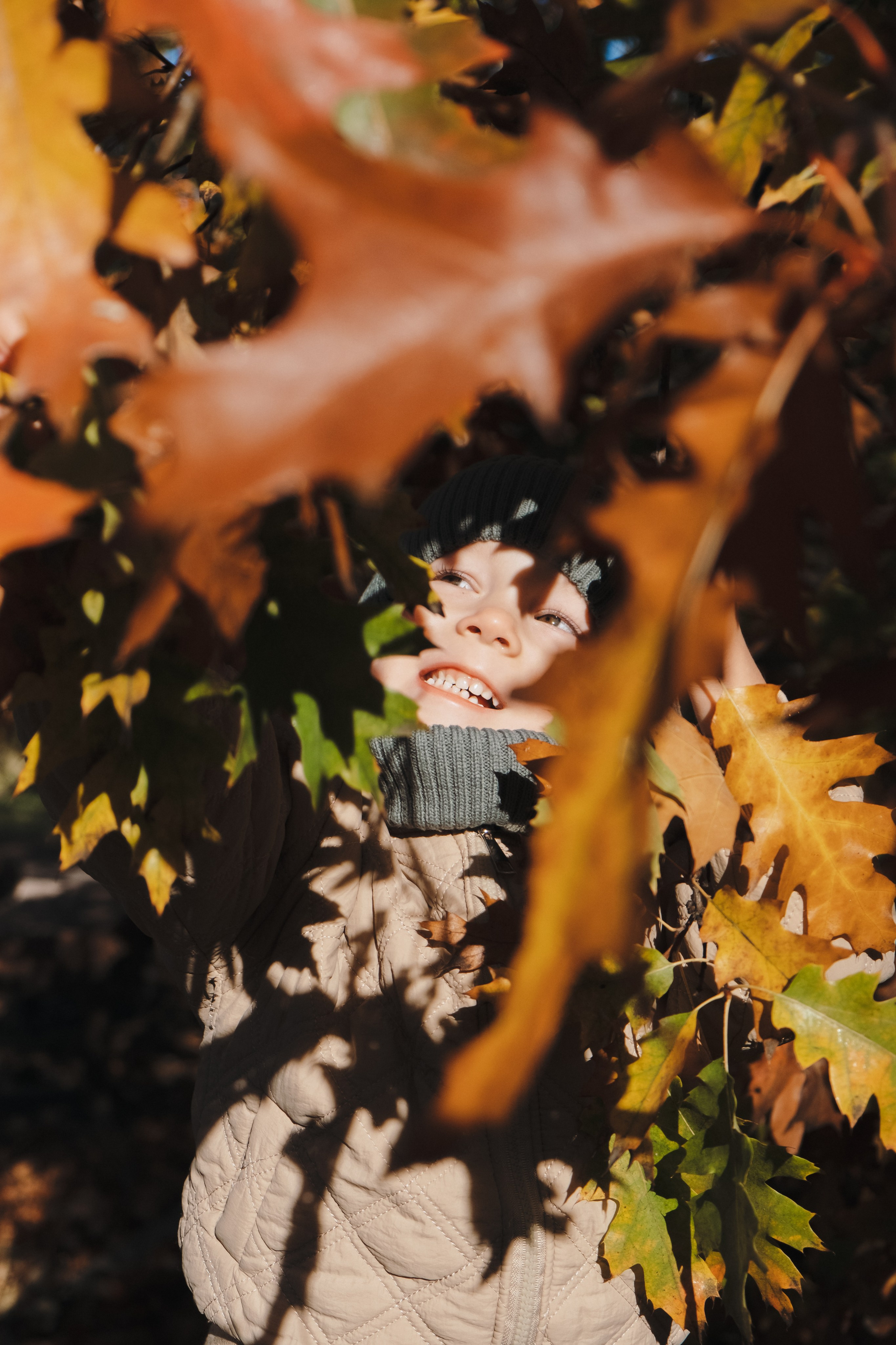 Семейная съемка (осень). Serg_film