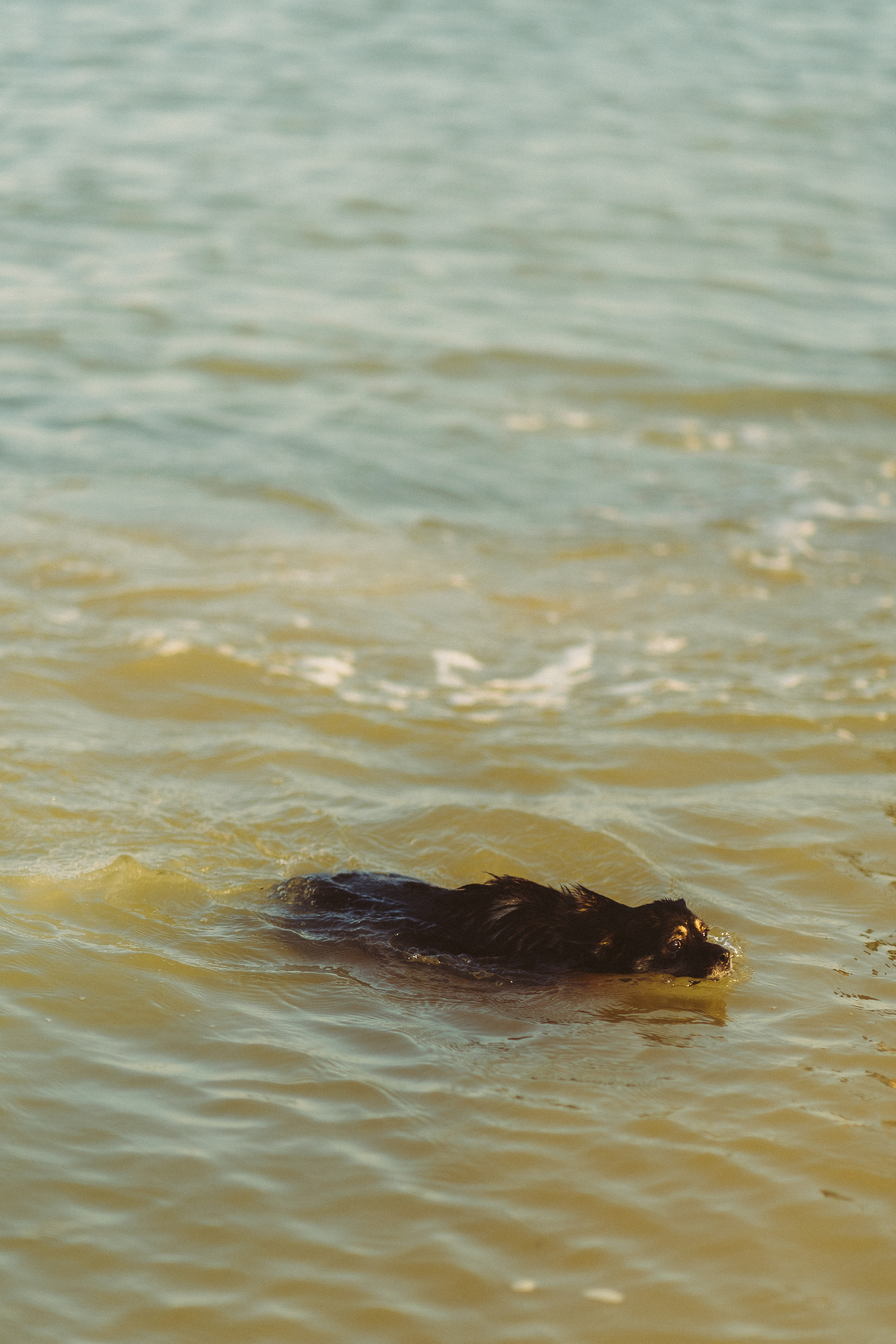 Путешествие на Камышеватскую косу. Семейный фотограф в городе Ейск — Михайлова Татьяна