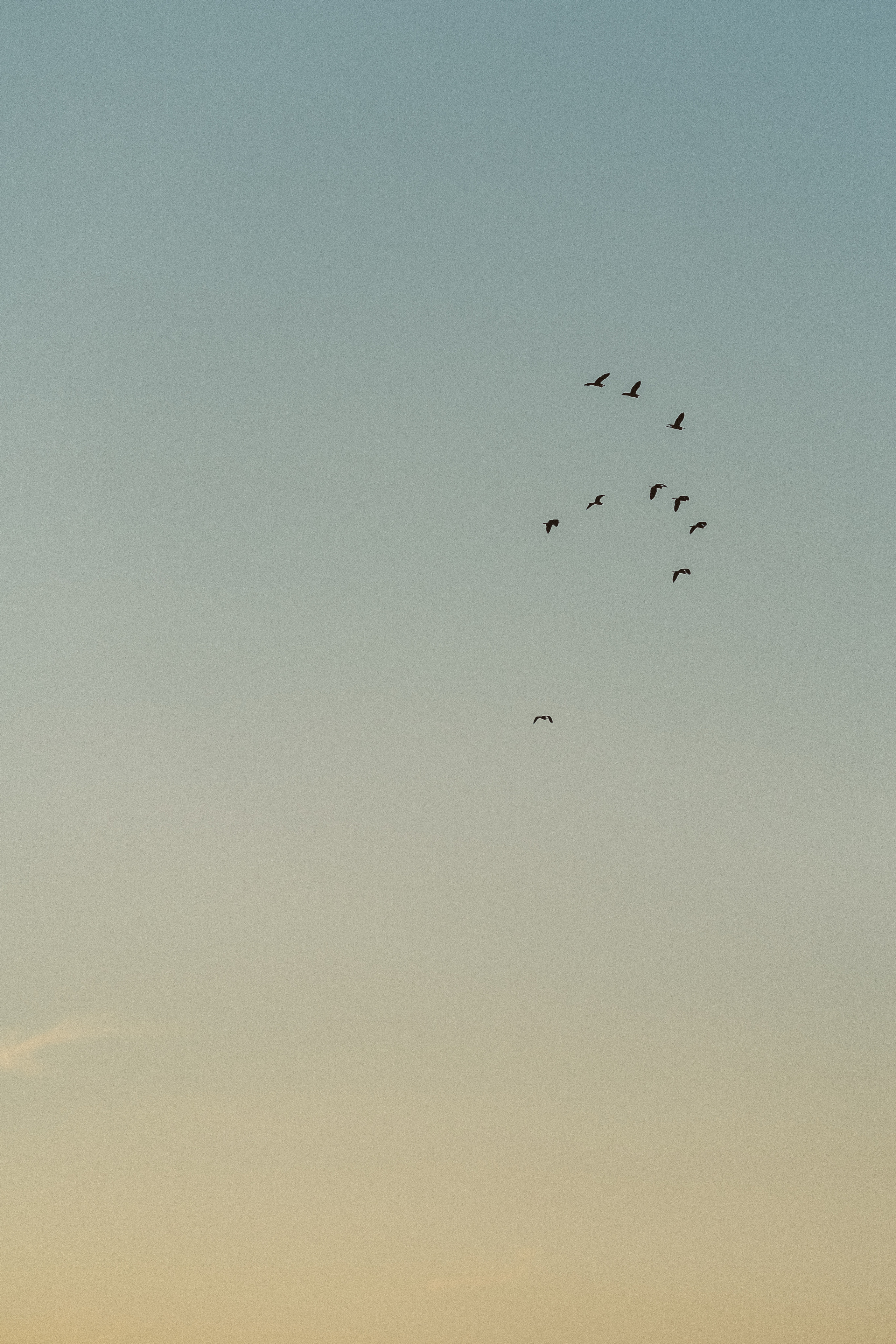 Путешествие на Камышеватскую косу. Семейный фотограф в городе Ейск — Михайлова Татьяна