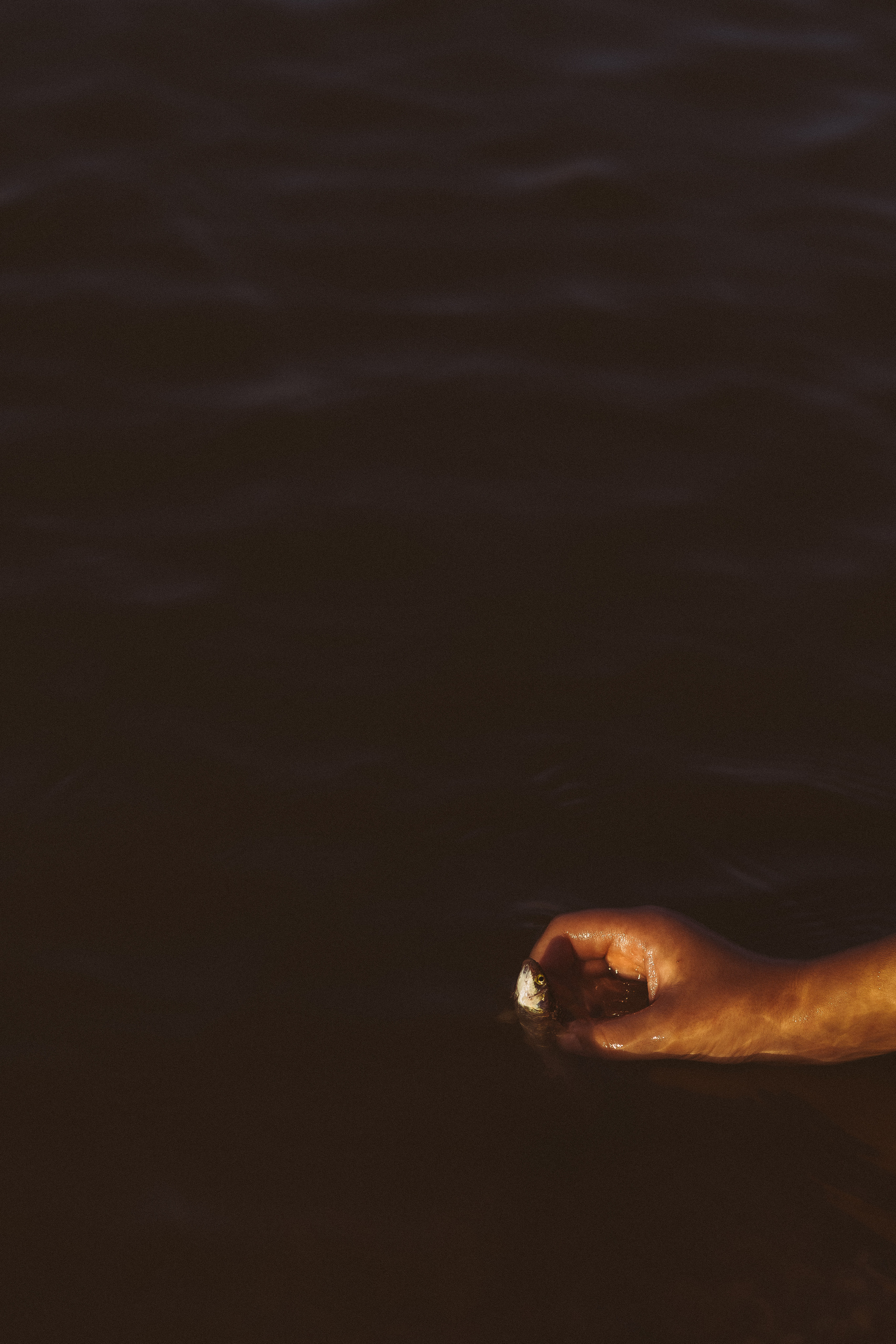 Путешествие на Камышеватскую косу. Семейный фотограф в городе Ейск — Михайлова Татьяна