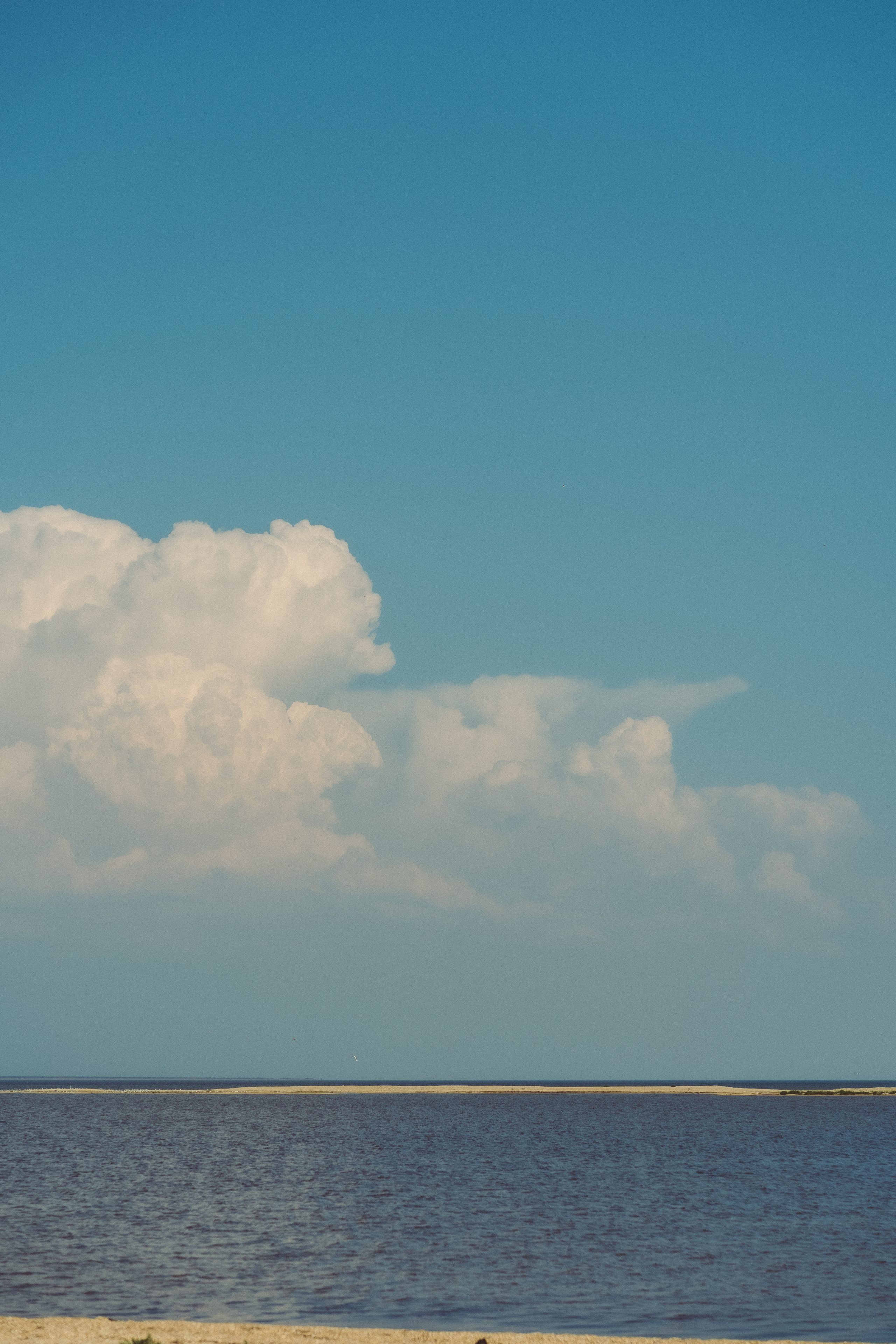 Путешествие на Камышеватскую косу. Семейный фотограф в городе Ейск — Михайлова Татьяна