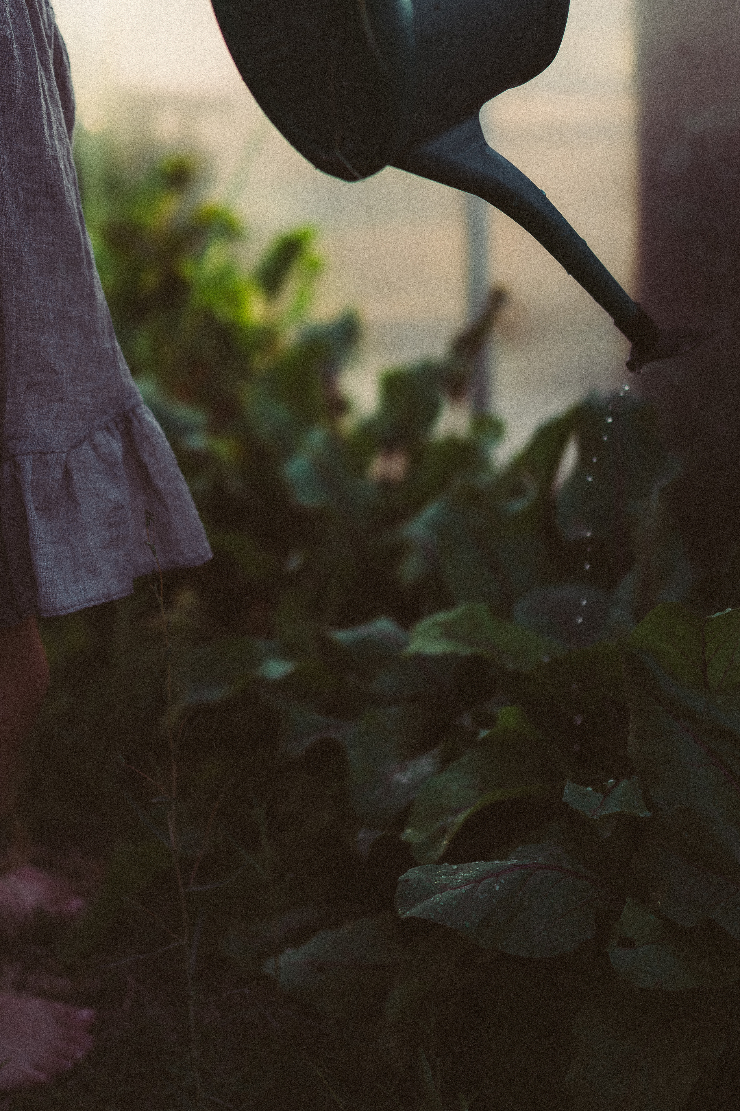 Свекольная история. Семейный фотограф в городе Ейск — Михайлова Татьяна