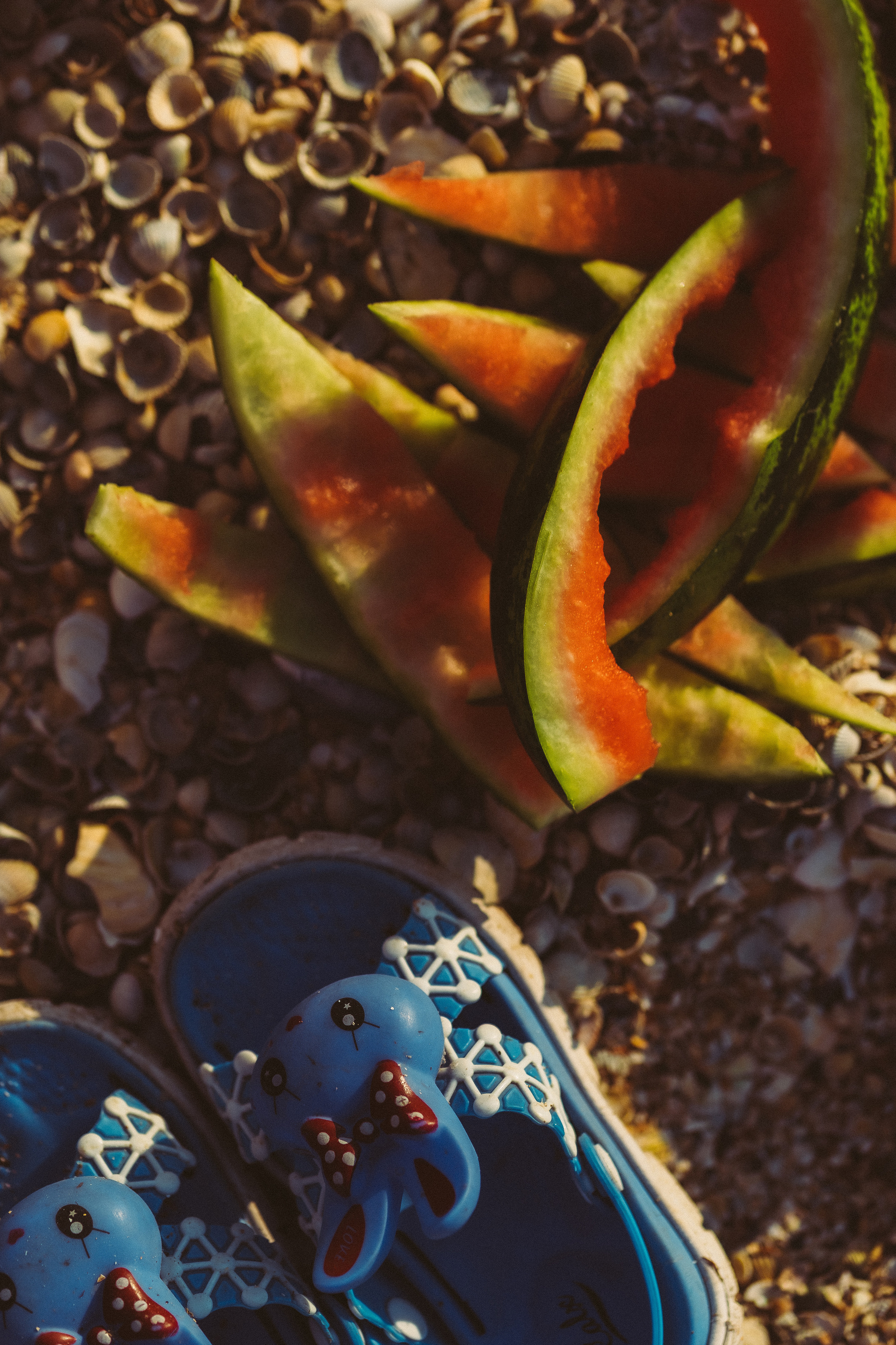 Путешествие на Камышеватскую косу. Семейный фотограф в городе Ейск — Михайлова Татьяна