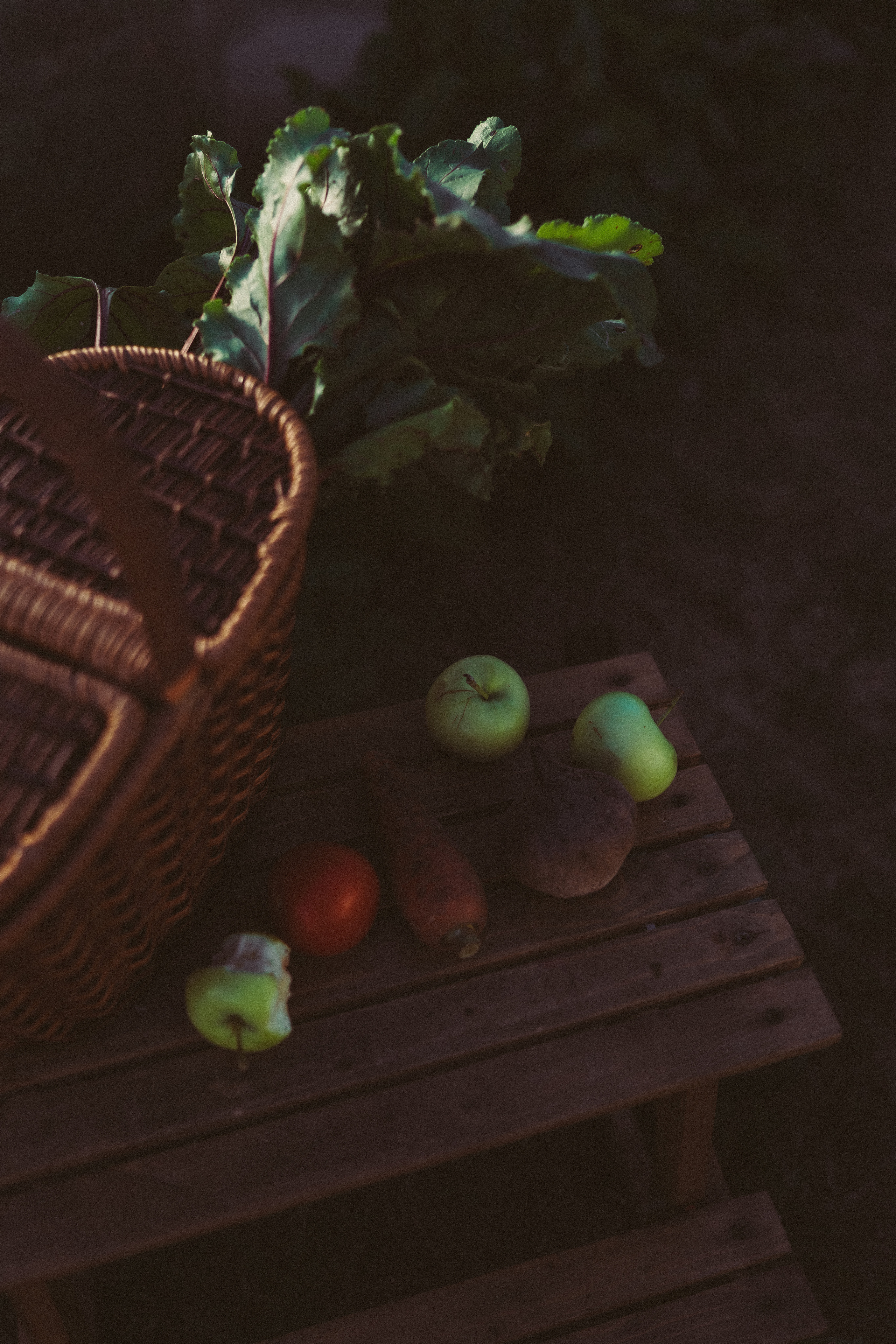 Свекольная история. Семейный фотограф в городе Ейск — Михайлова Татьяна