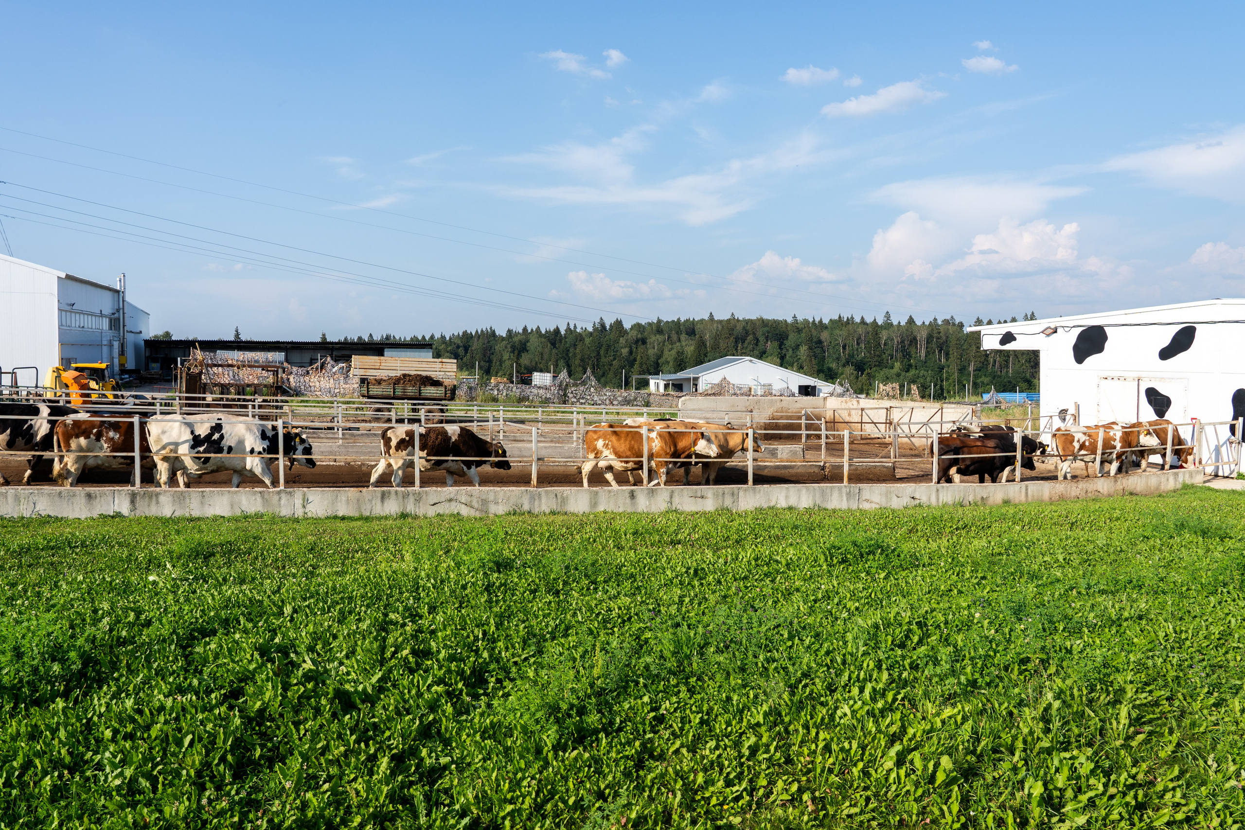 «Летний институт», посвящённый историческим процессам на евразийском пространстве. Репортажный фотограф в Москве Легкая Софья