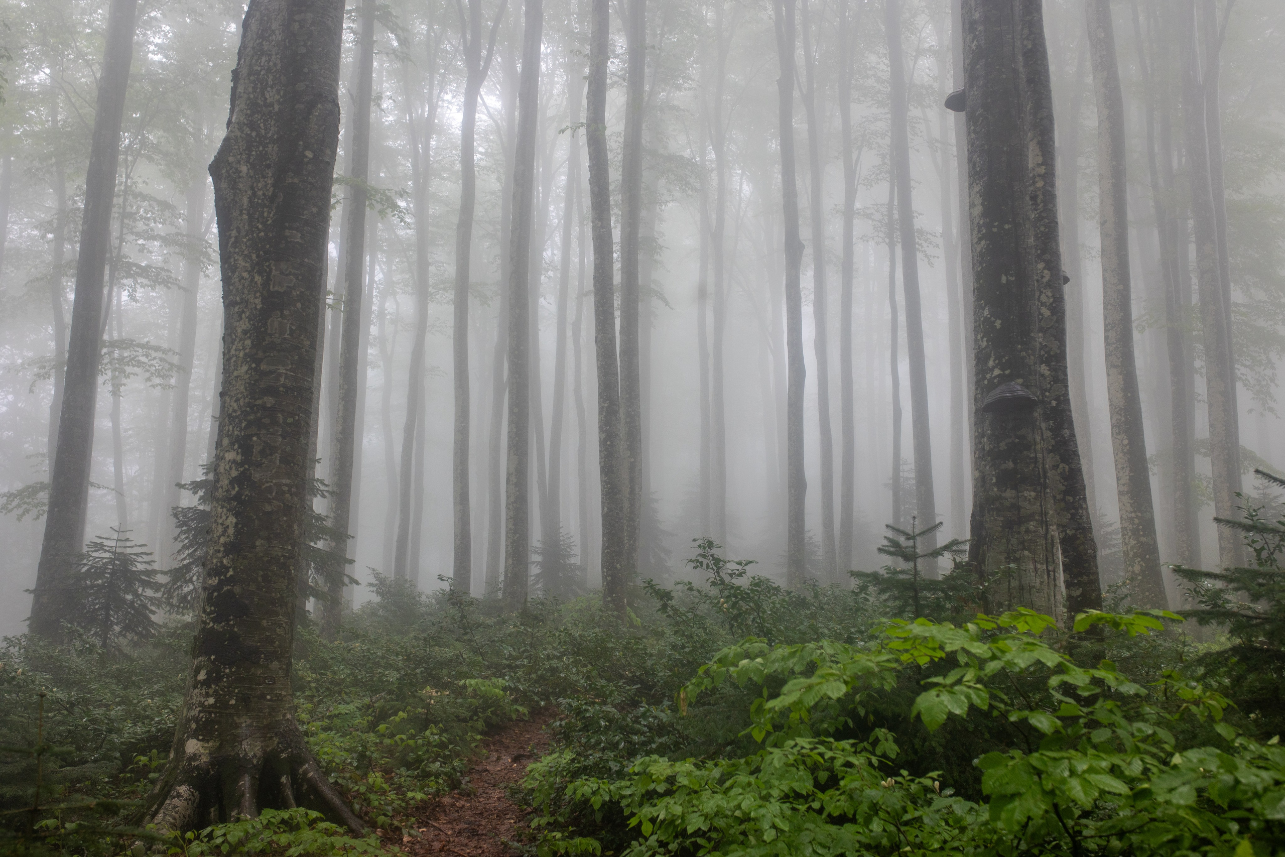 Грачев Венец. Тревел-фотограф Олег Гуров