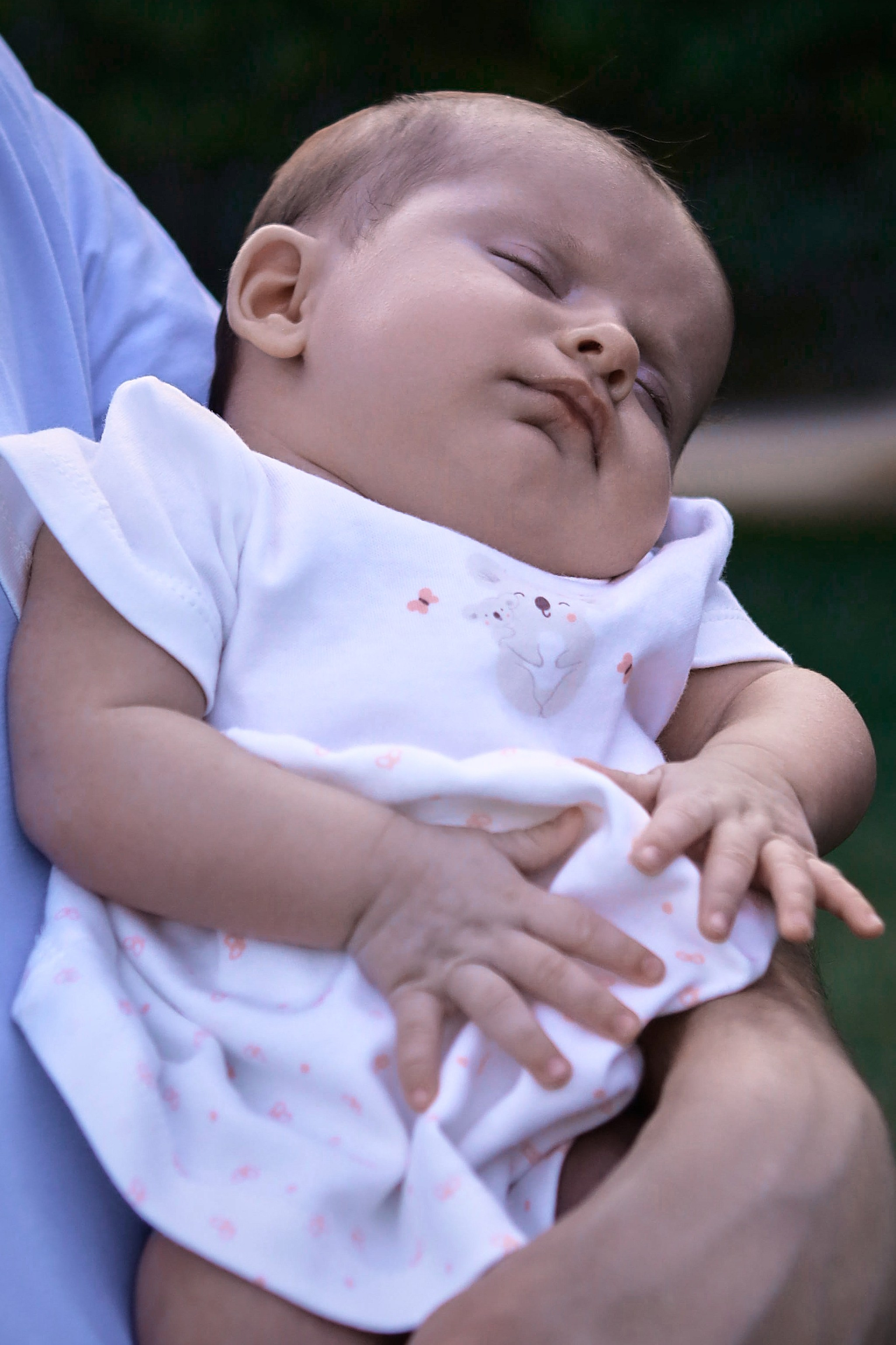 Семейная фотосессия с малышкой. Семейный и свадебный фотограф в Краснодаре Михеева Светлана