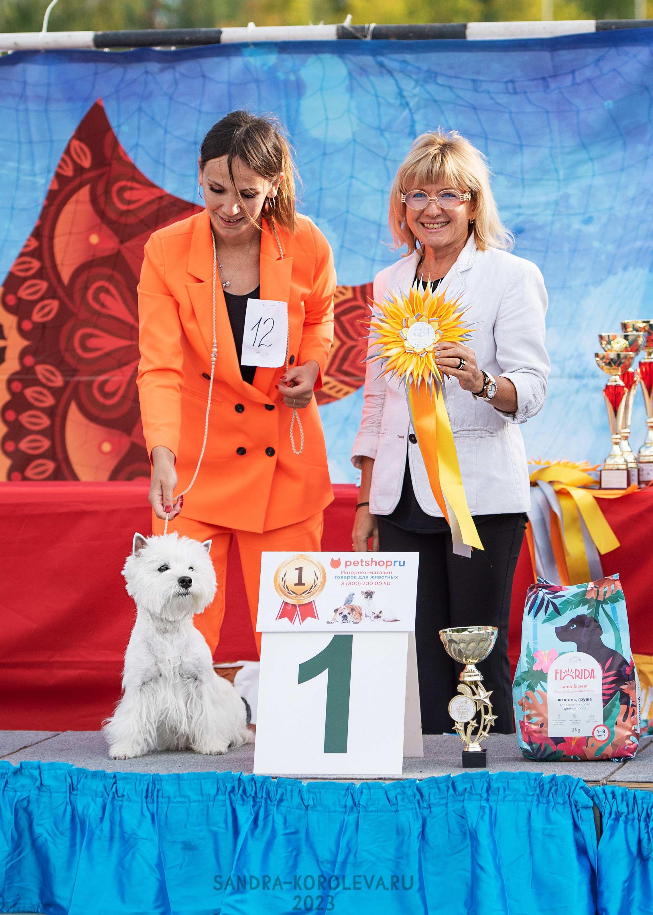 Выставка собак Тюмень 02.09.2023. Дог-фотограф в Тюмени Александра Королева