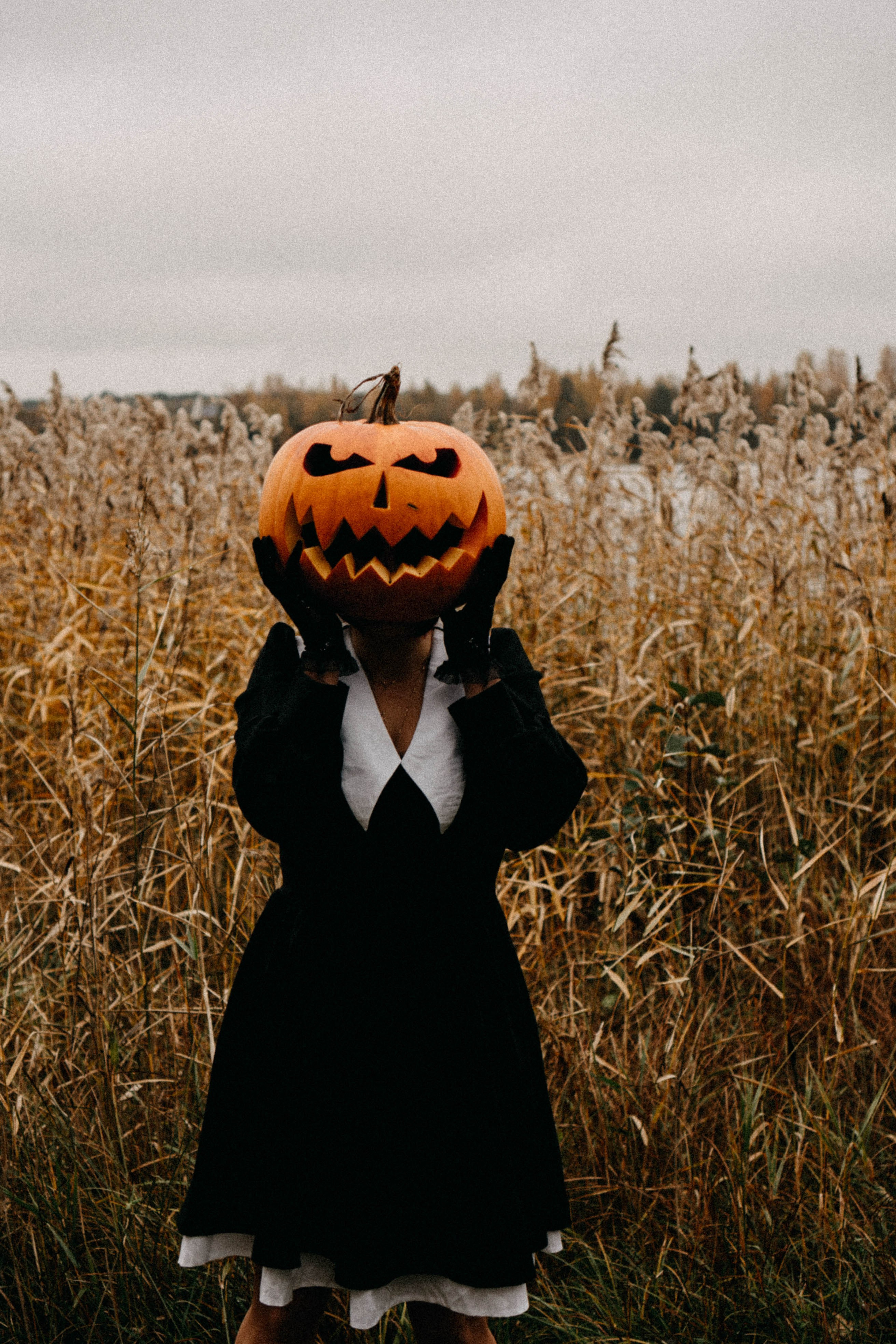 Осеняя. Профессиональный фотограф, Санкт-Петербург — Виктория Богомолова