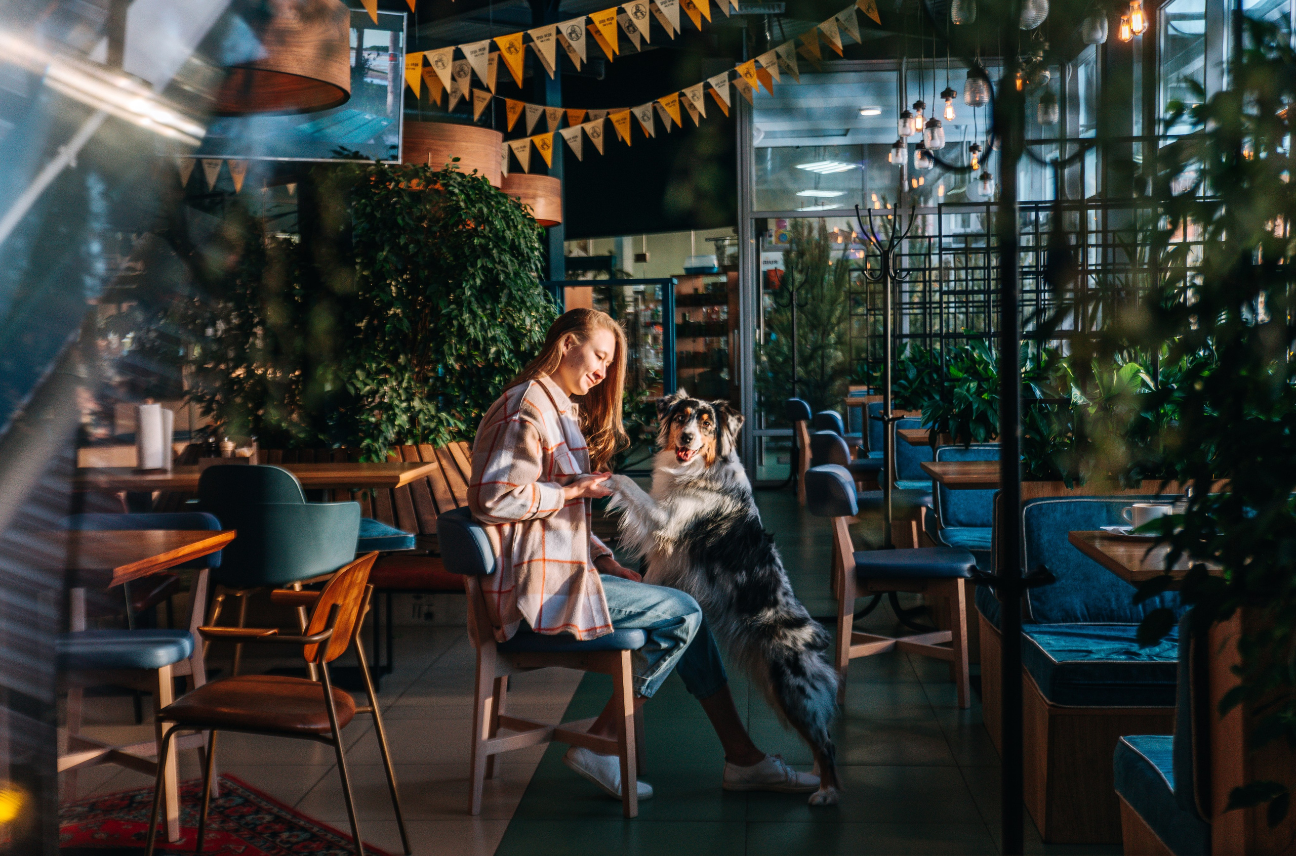 Лиза и Харли в кафе. Главная