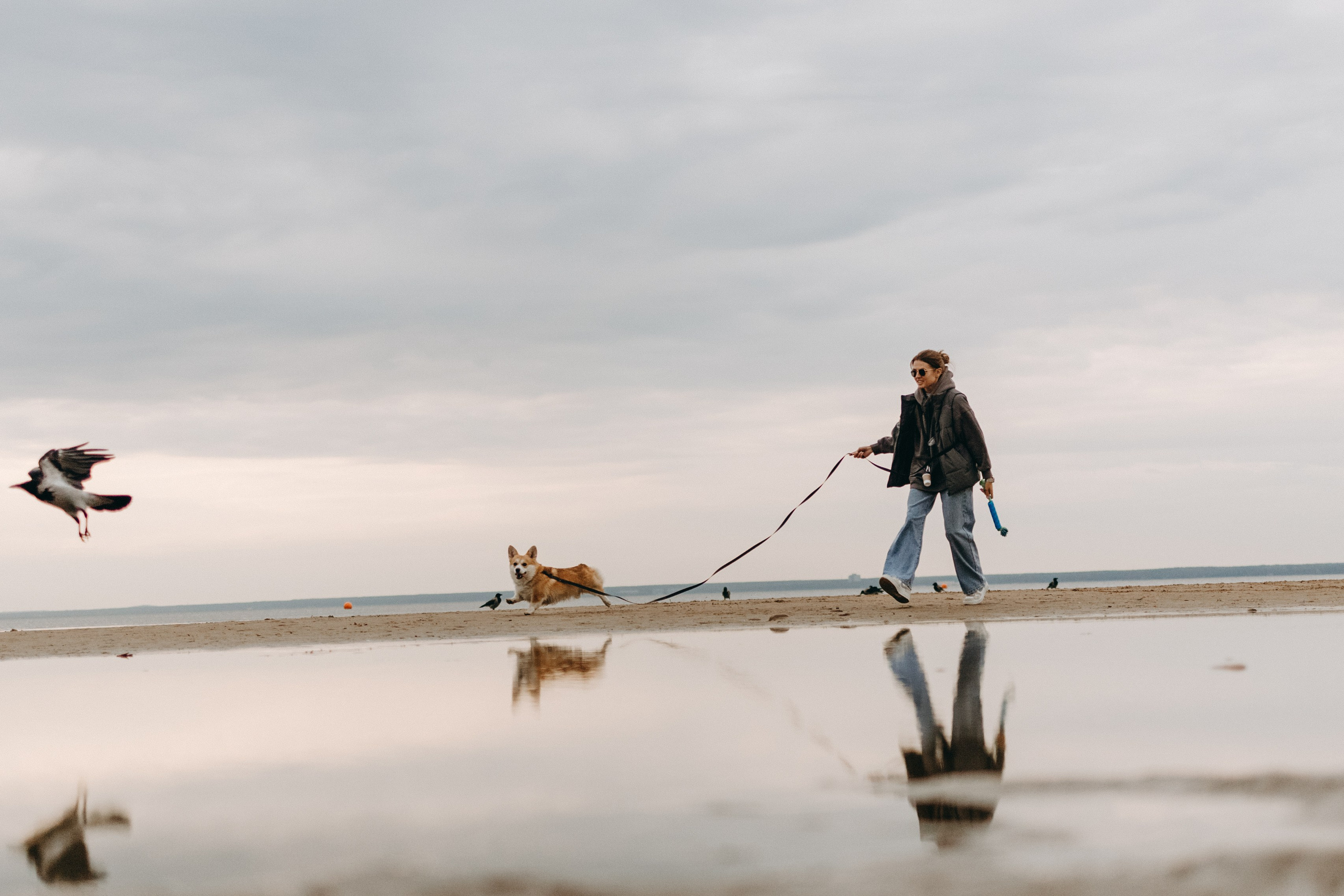 Лиза и Бакс. Фотограф — Анималист | Санкт-Петербург