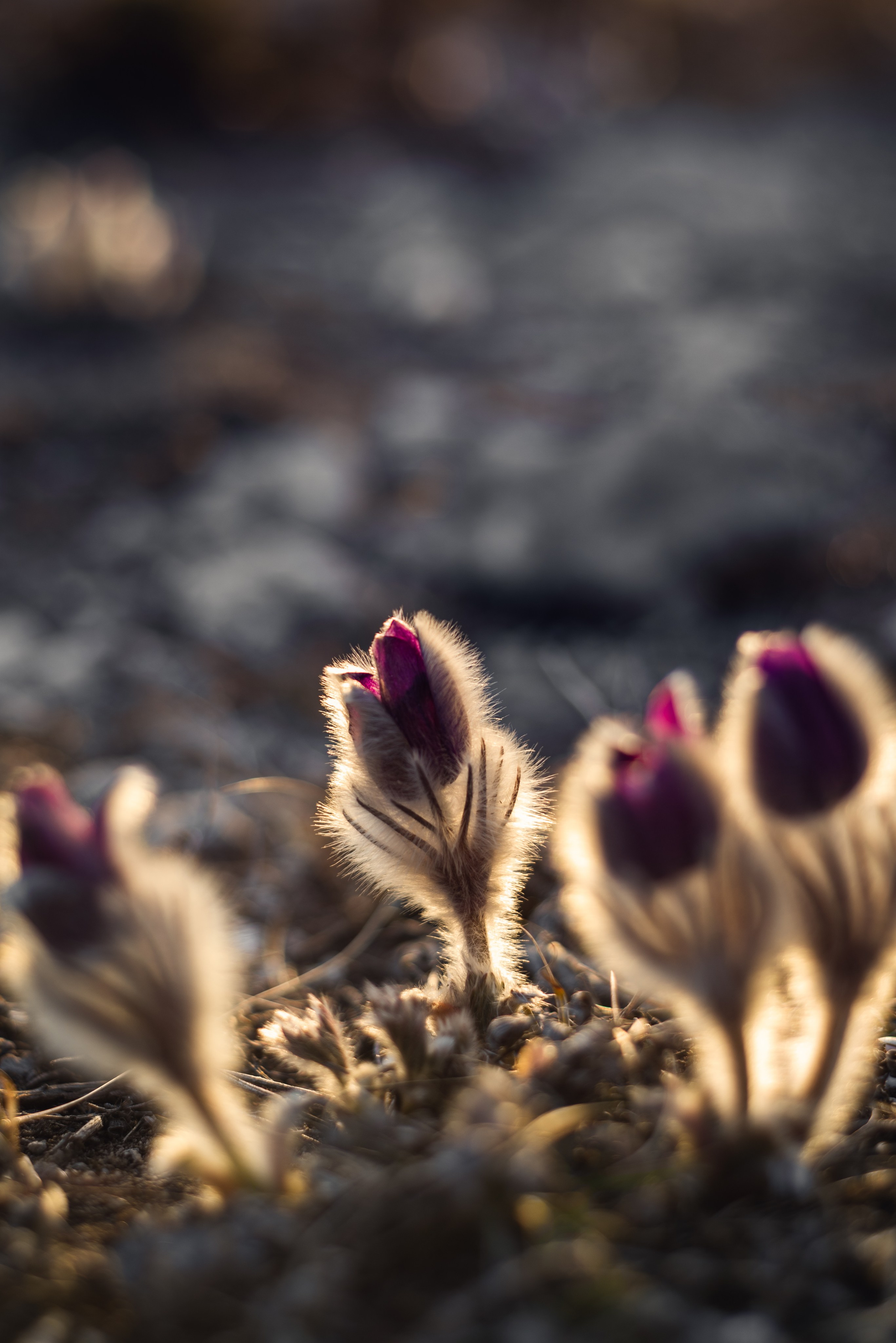 Пейзажи. Дмитрий Шалыгин — Ваш фотограф в Севастополе и Крыму