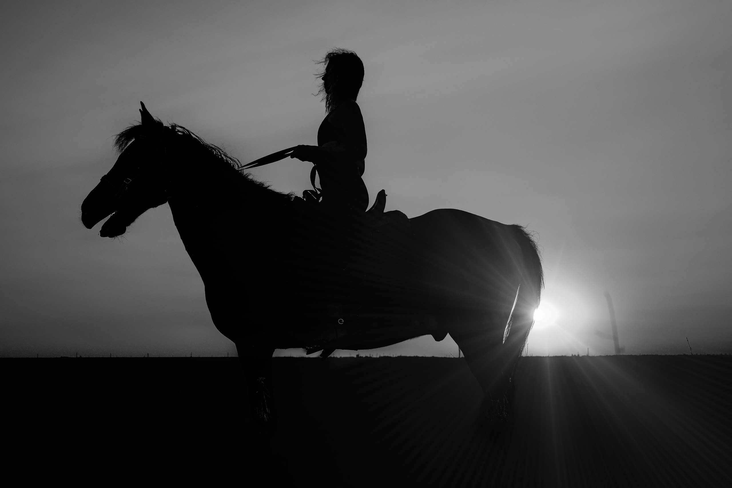 Леди и лошадь. Главная