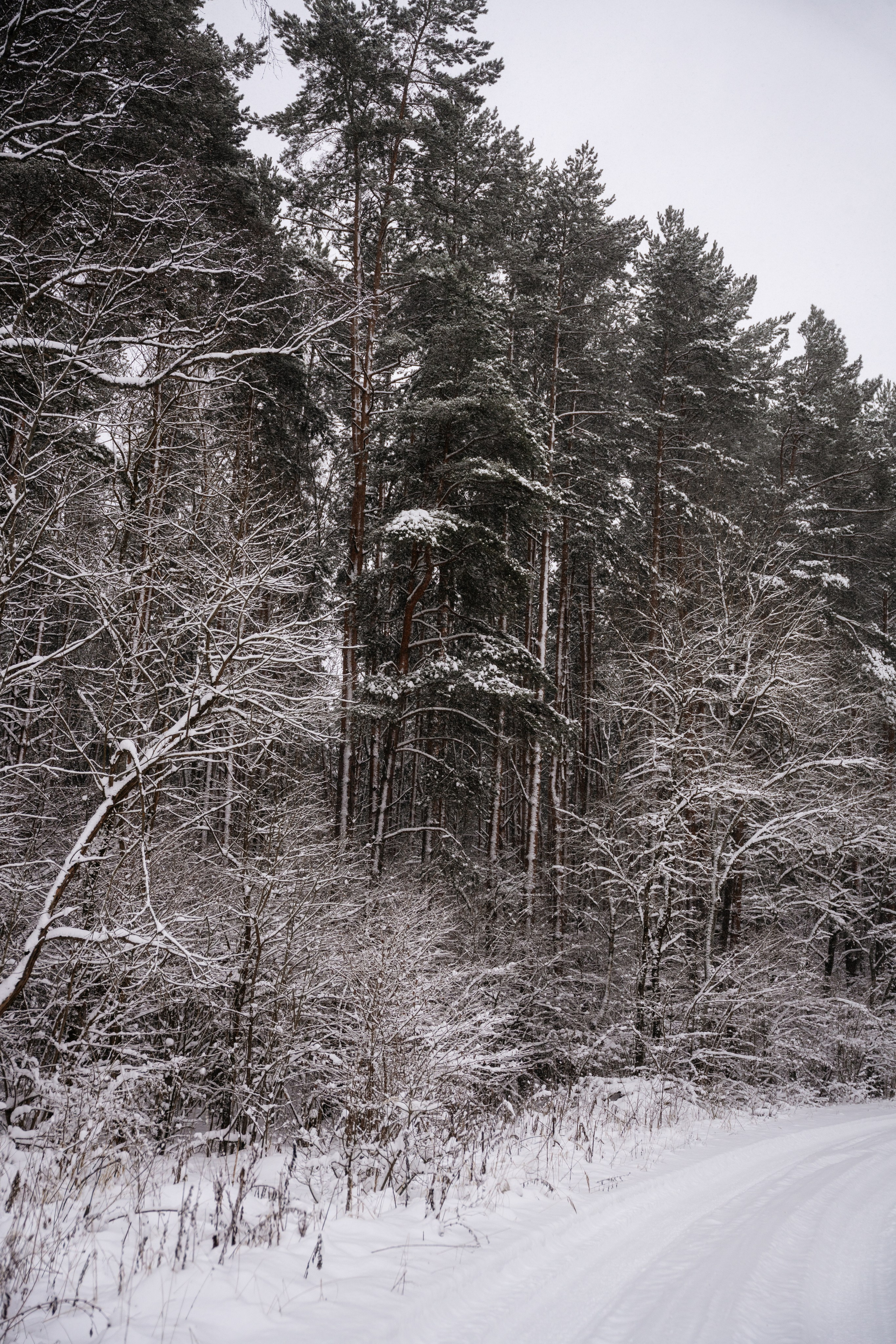 Поездка к р. Песочня и деревне Раевское. Vlad Trykov