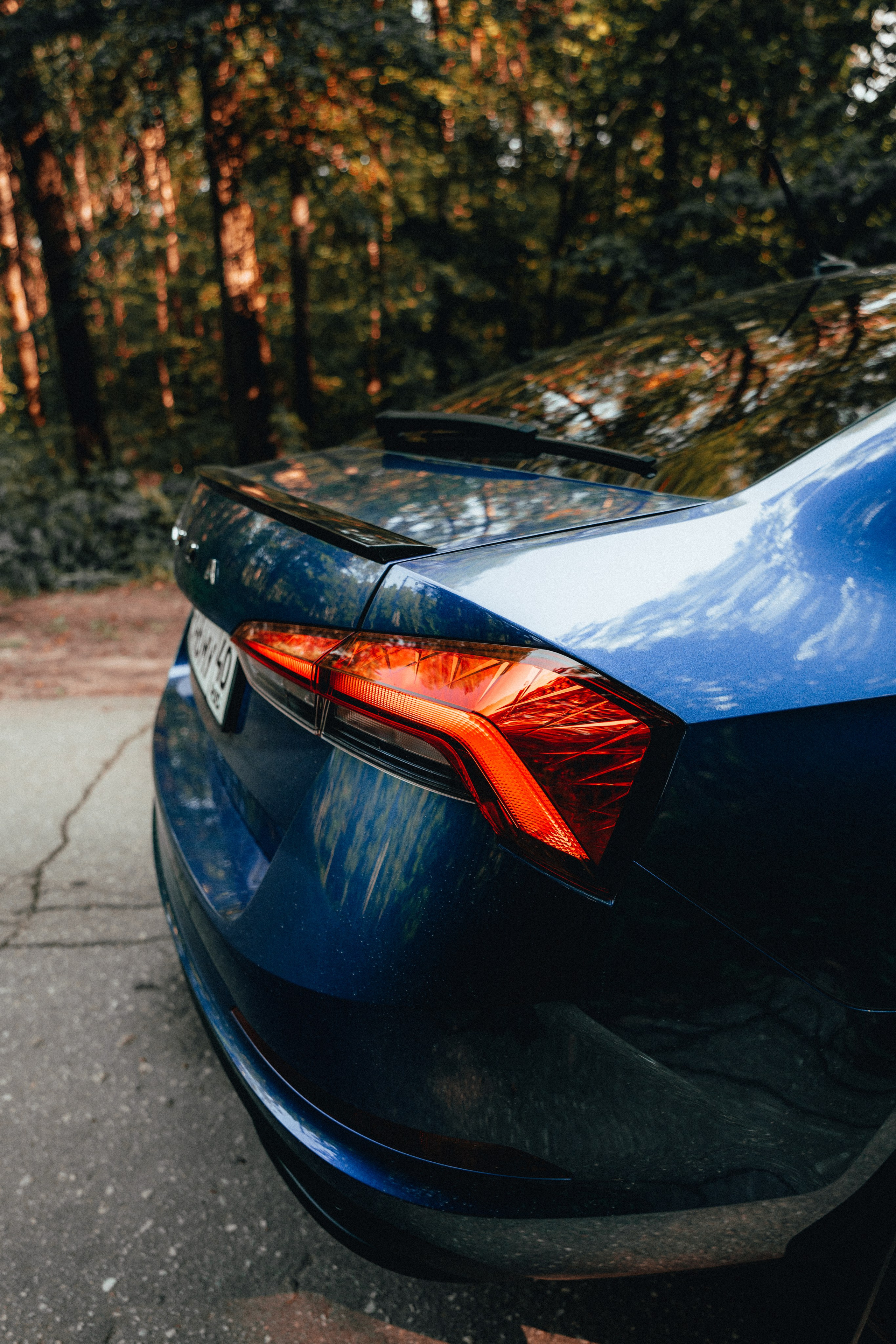 Skoda Rapid Anna. Vlad Trykov