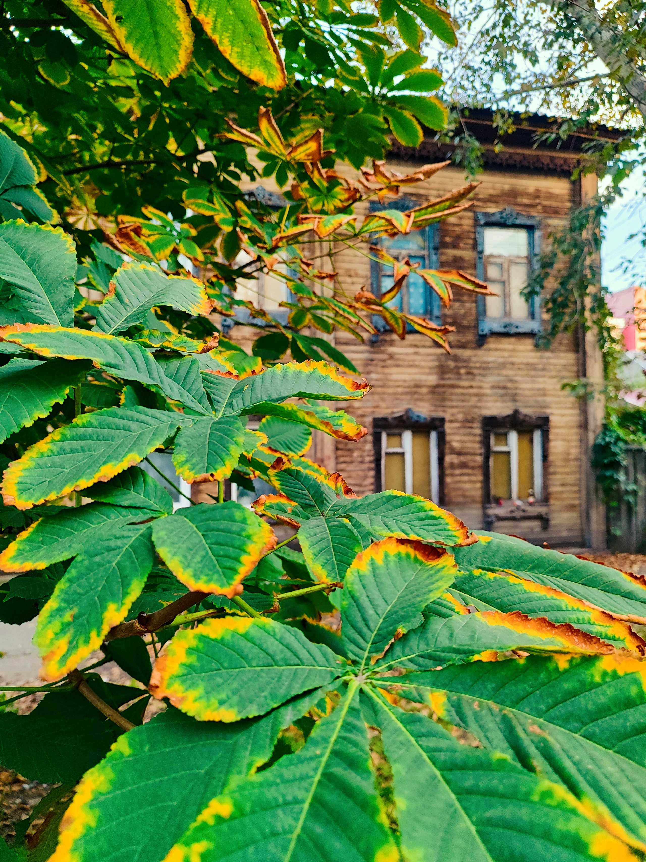 Архитектура