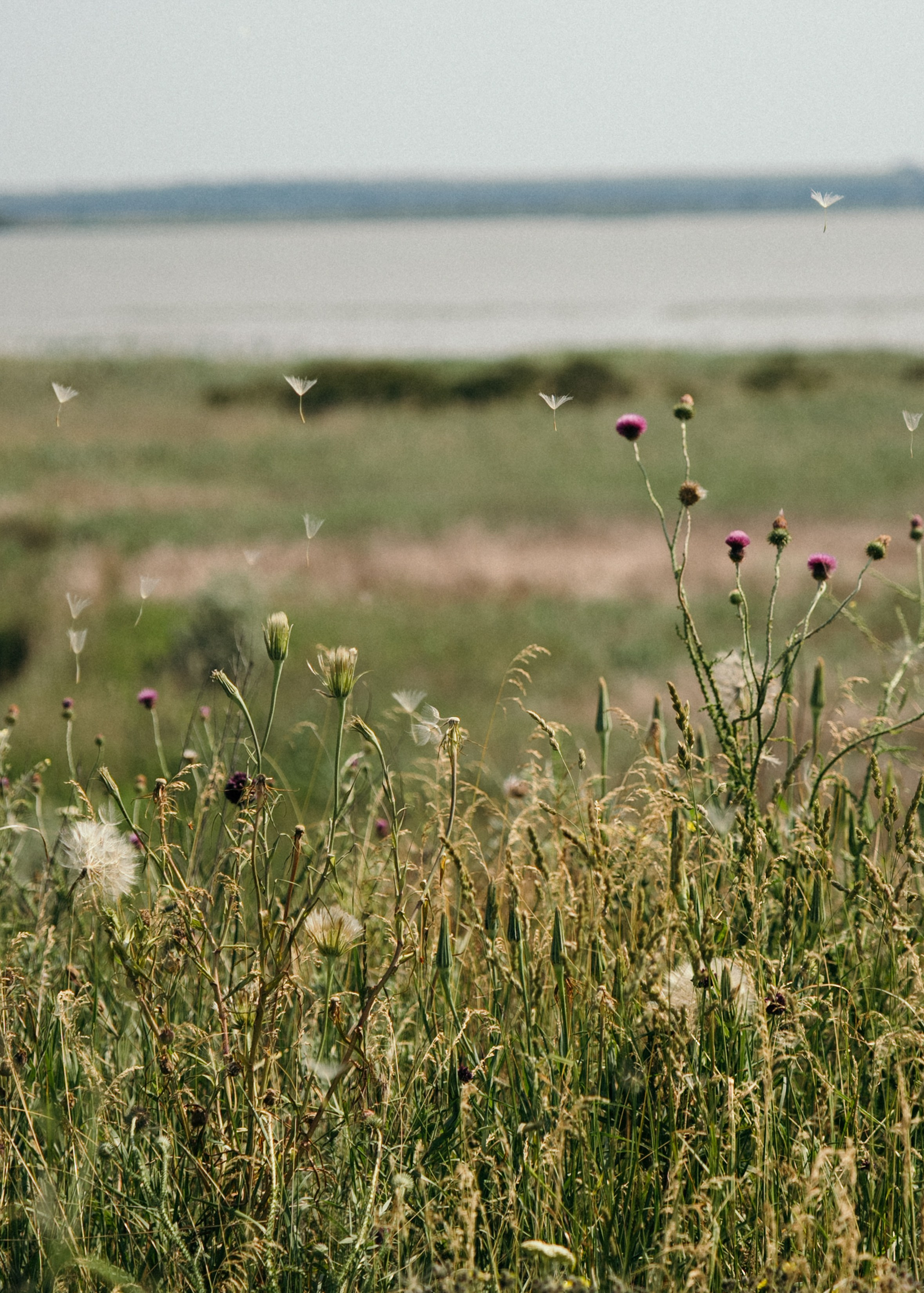 Давай загадаем желание?. Свадебный фотограф в Краснодаре и Сочи Винидиктова Екатерина