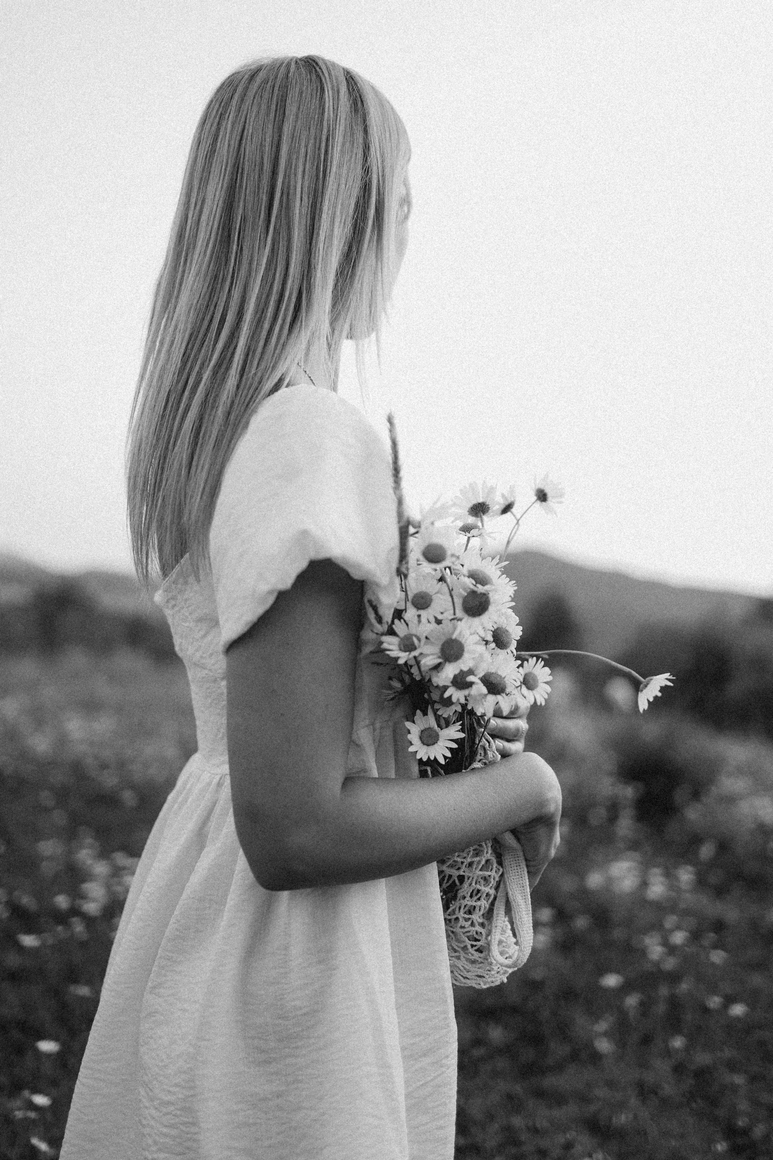 Ромашки. Фотограф Немазенко Ольга