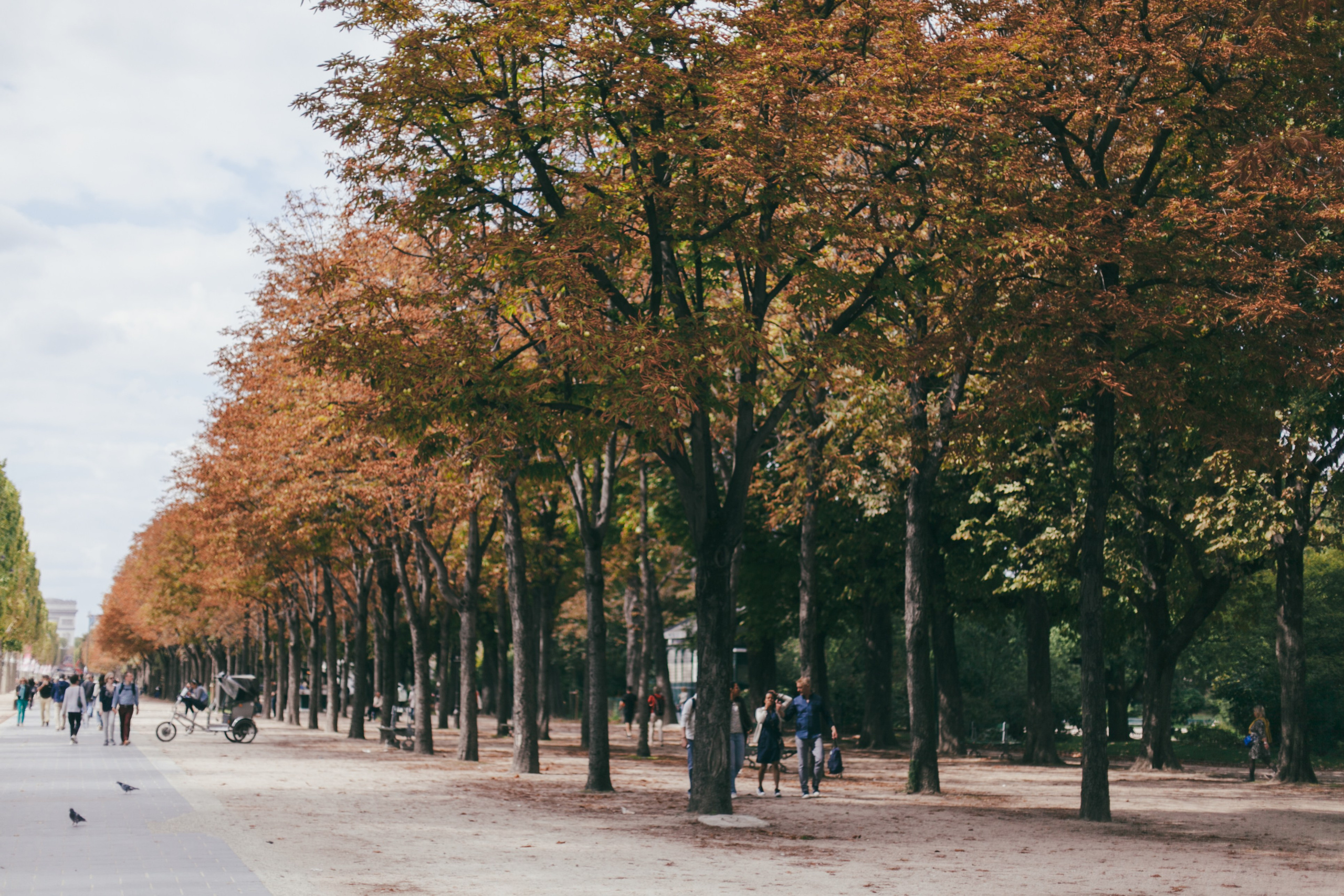 Париж. Аня Степанова