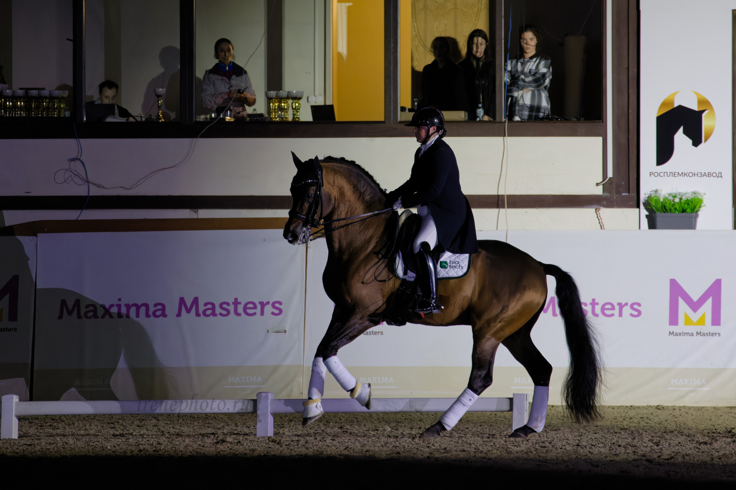 Конная Россия 2024. Irenephoto.ru