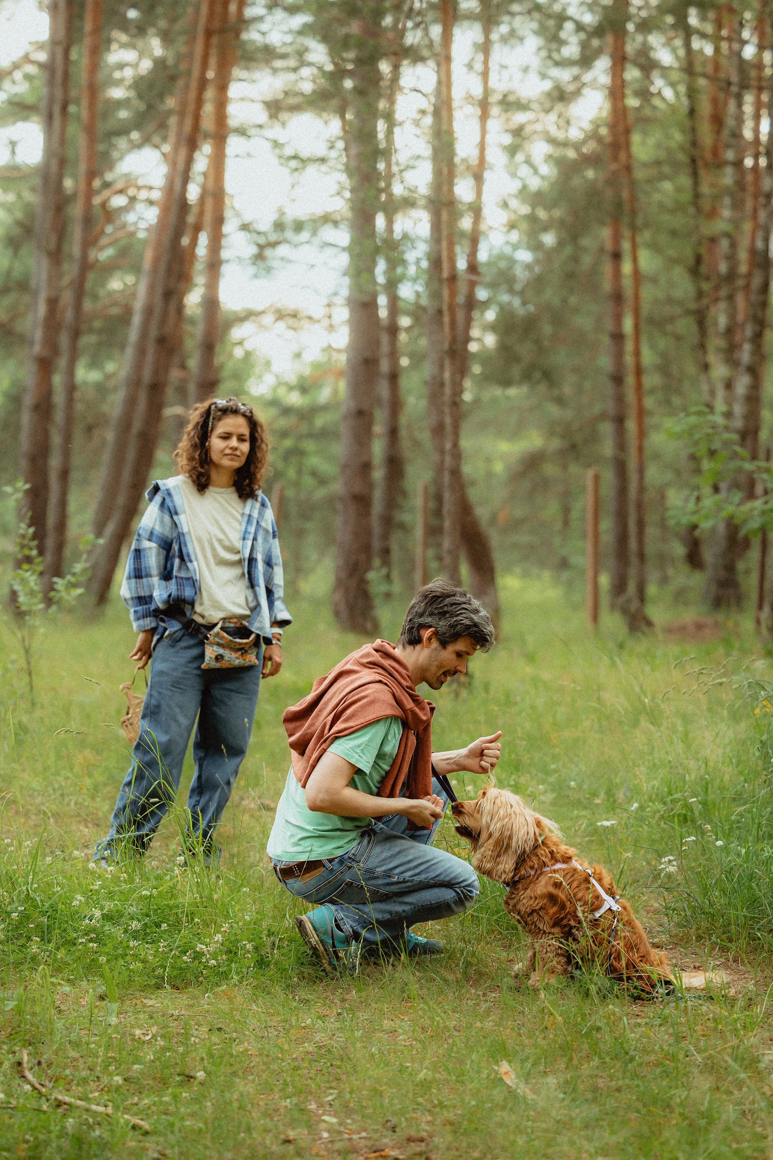 Выездной дог-тренинг от школы «Шерсть имею»