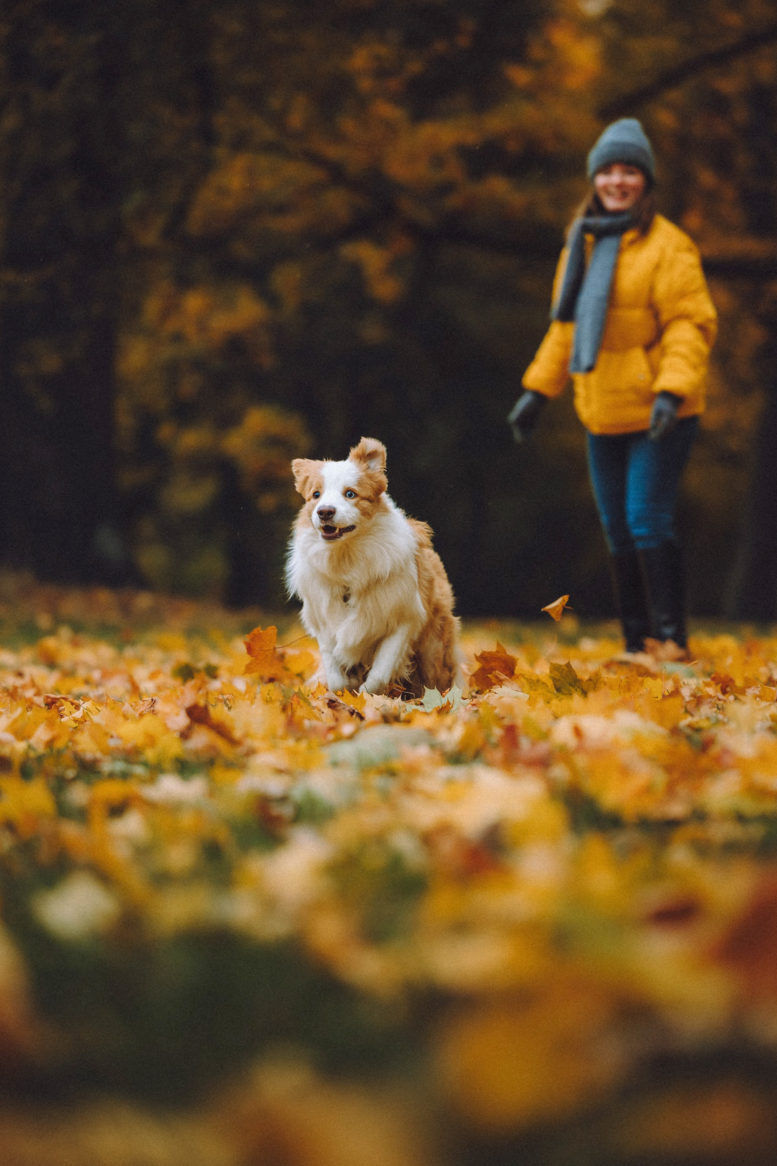 Алина, Витя и Асти