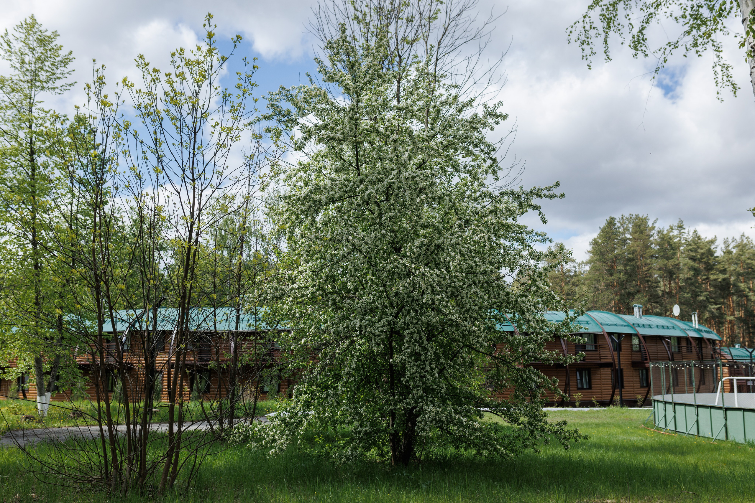 База отдыха «Металлург». Фотограф городских и семейных событий в Нижнем Новгороде Артем Карпухин