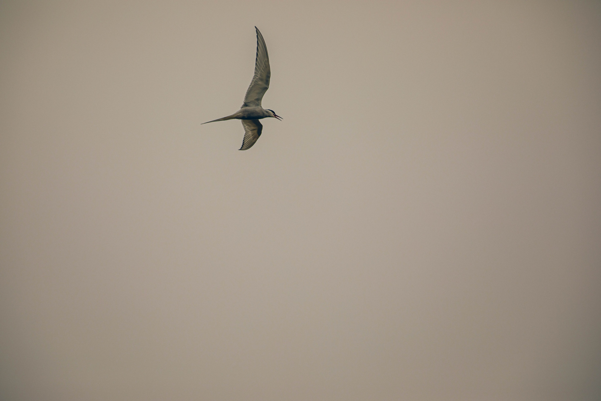 Кольский полуостров. Фотографирую для себя, своей семьи и друзей!