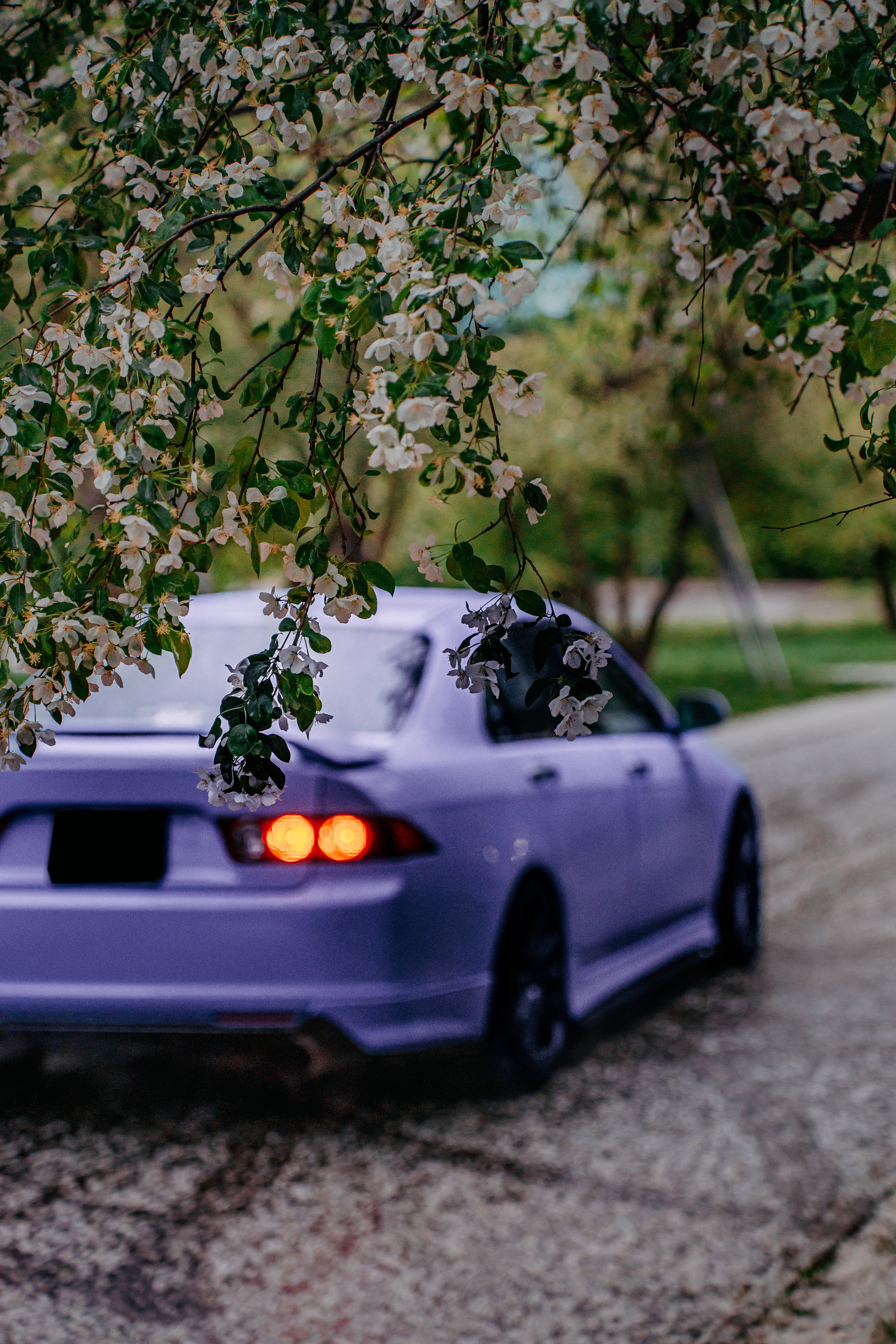 Honda Accord. Фотограф, видеограф и пилот дрона на Байкале