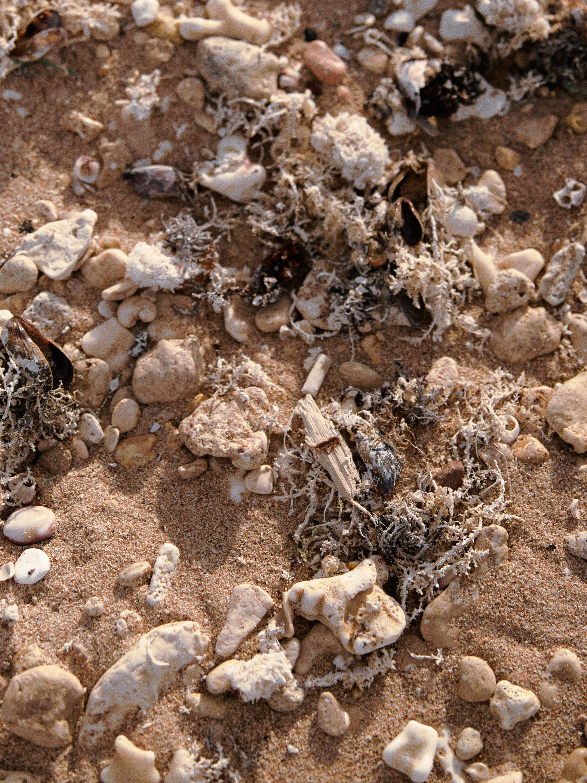 Диптих. Jorgis — фотограф в Хургаде / обучение фотографии