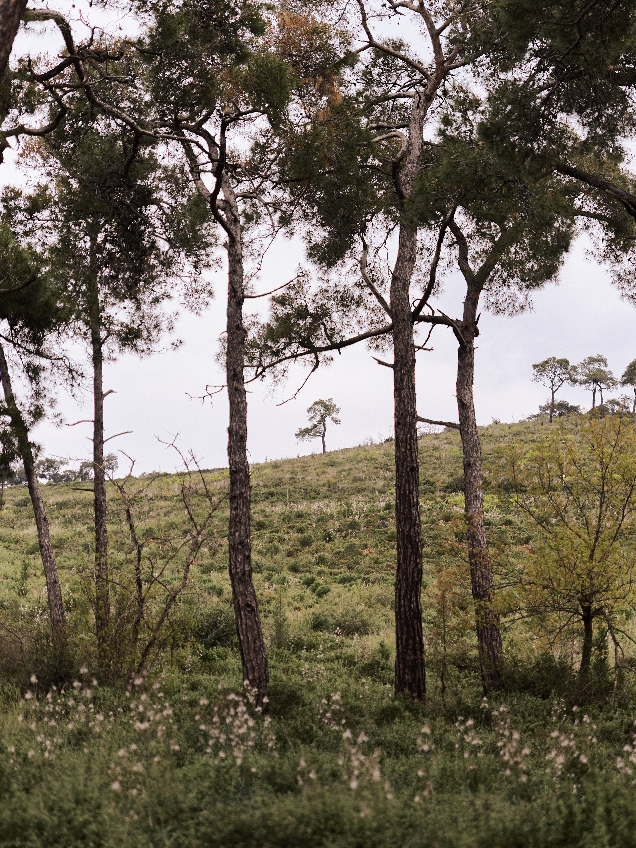 Природа. Jorgis Talè — photographer, kind person, teacher of arts and other mag