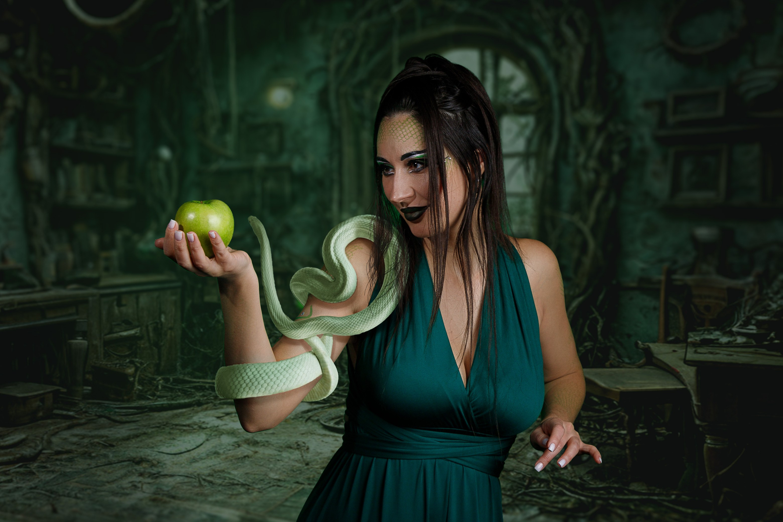 Семь грехов Грех зависть