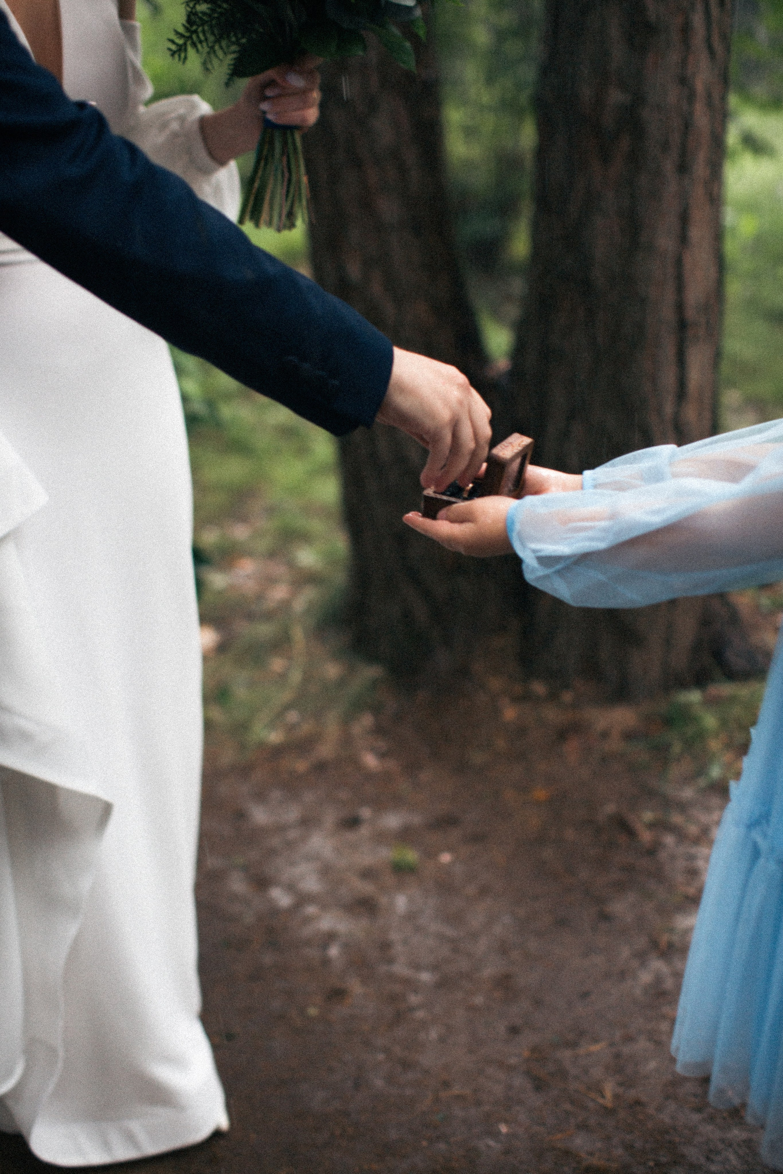 23/07/23. Фотограф НатаФото (Наталья Яковенко) Дмитров Москва Питер