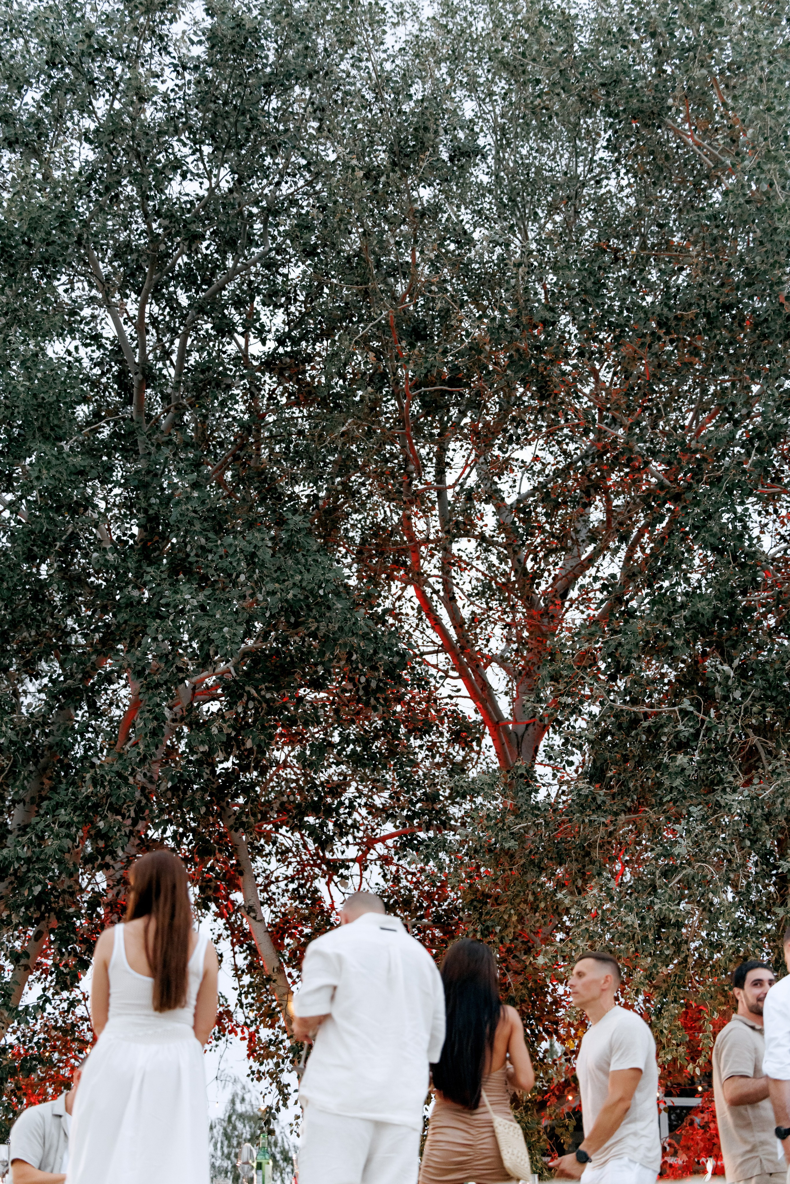 Денис и Анастасия. Wedding and Reportage photographer Marmarov Christya